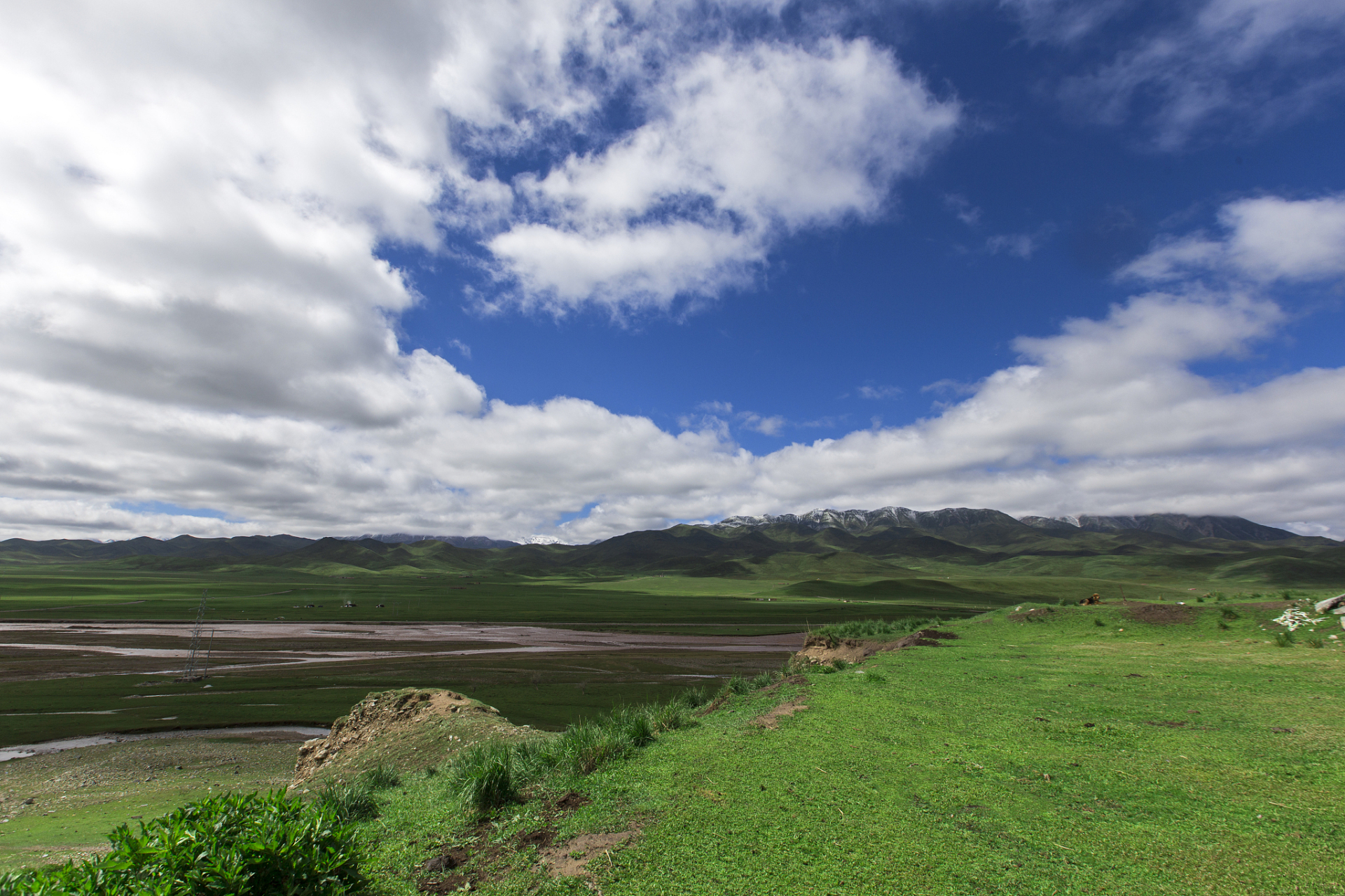 碧绿的草地延伸至天际,仿佛是大自然铺展的绿色毯子,远处的牛羊在茂盛