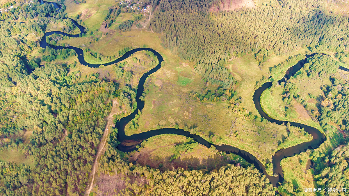 很多人一辈子过得那么艰难,往往是因为他们紧紧抓住某个东西,如同溺水