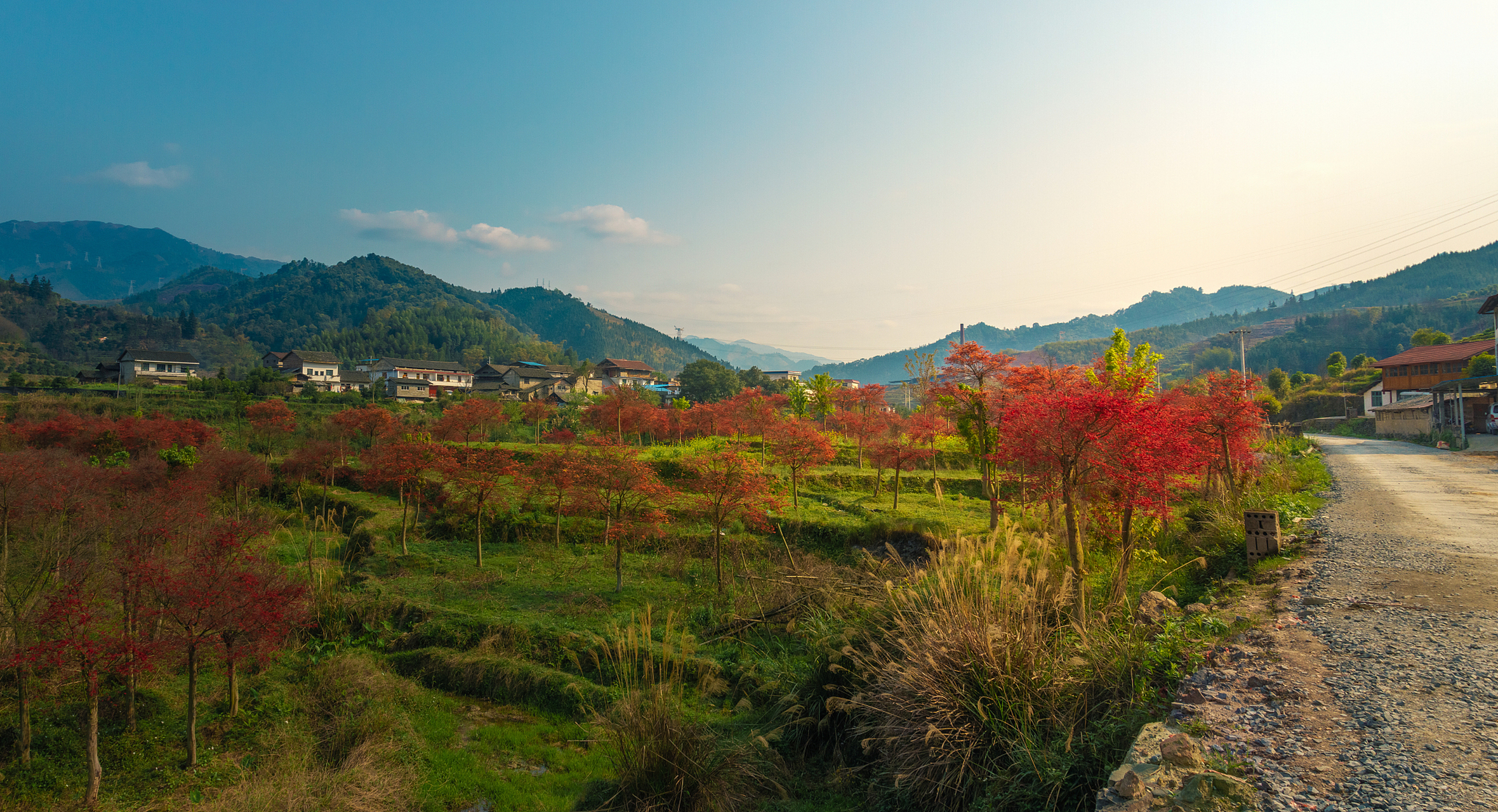 文成县位于浙江温州,拥有众多旅游景点,包括百丈漈,铜铃山森林公园等