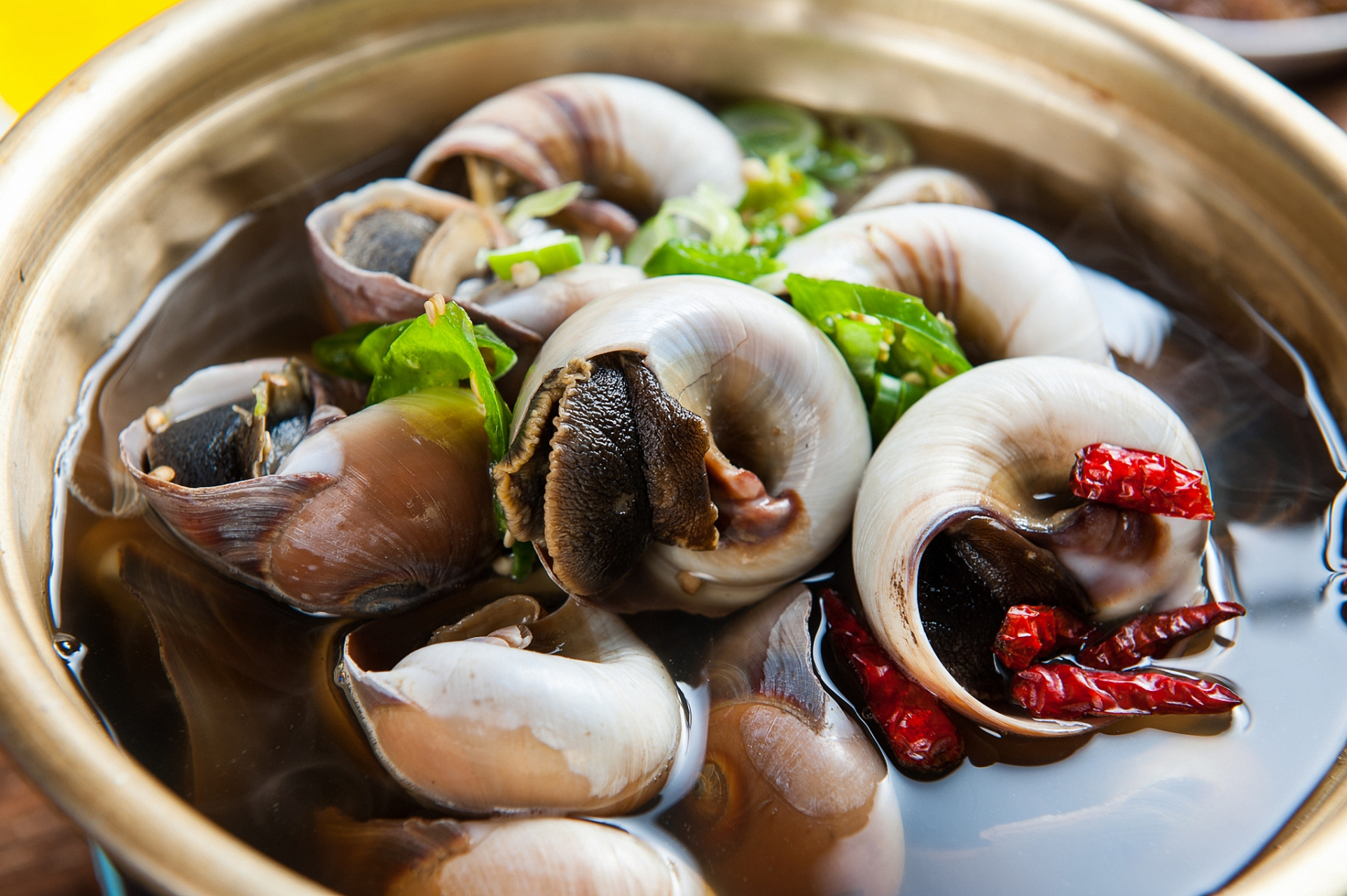 大型的螺类如海螺或者蜗牛可能需要更长的时间,大约