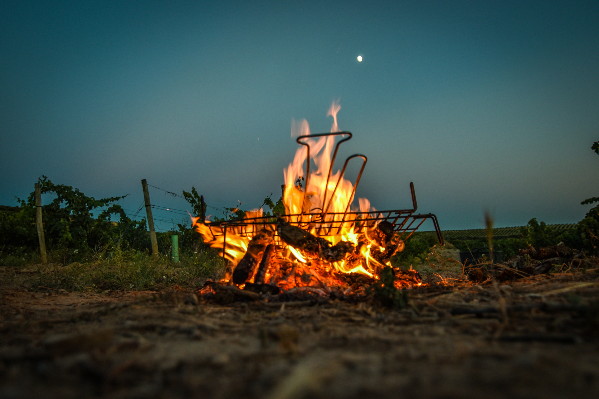 想象一下火焰,闻到木头燃烧的气味,感受空气的温暖.  现在停止!