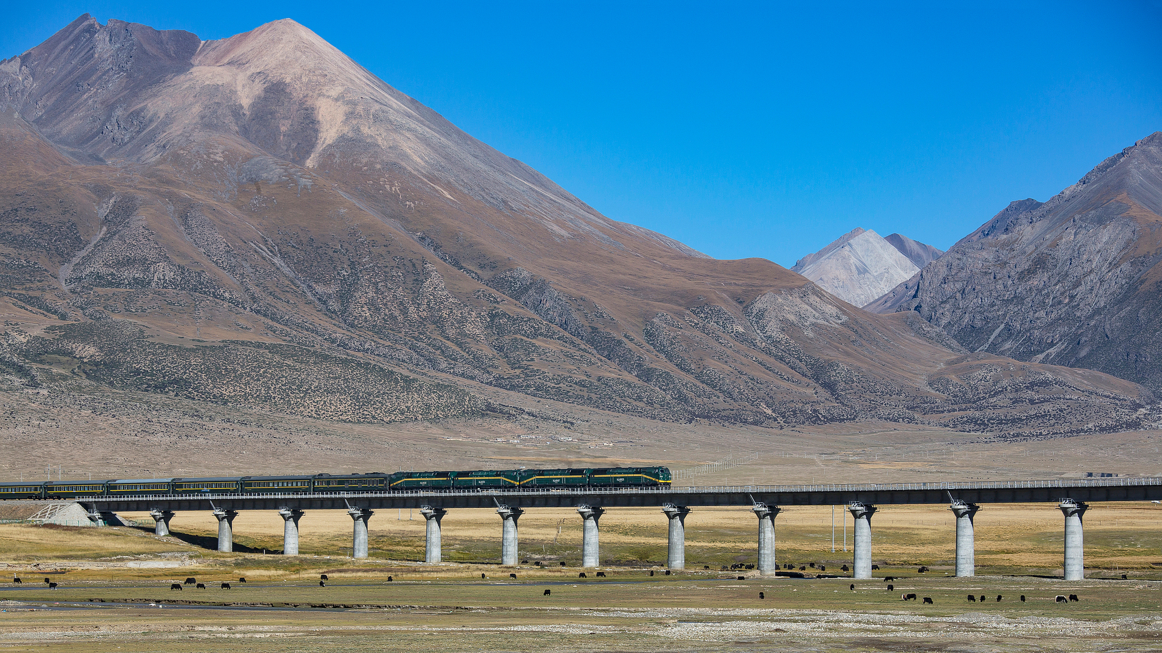 看时事学英语(154) the "fuxing" multiple unit o