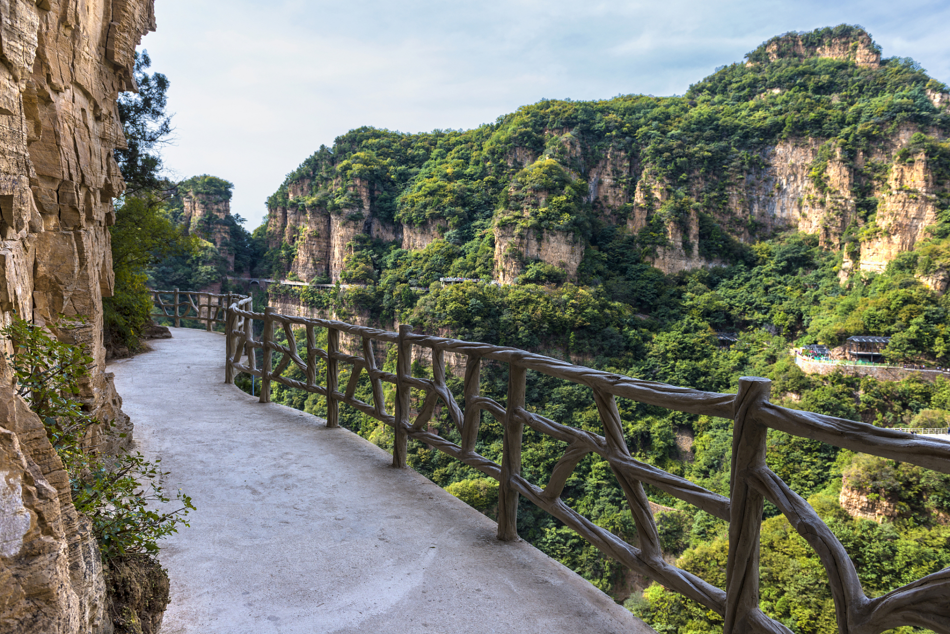 你是否知道,就在离兰州市不远的兴隆山,有一个自然保护区,它不仅拥有