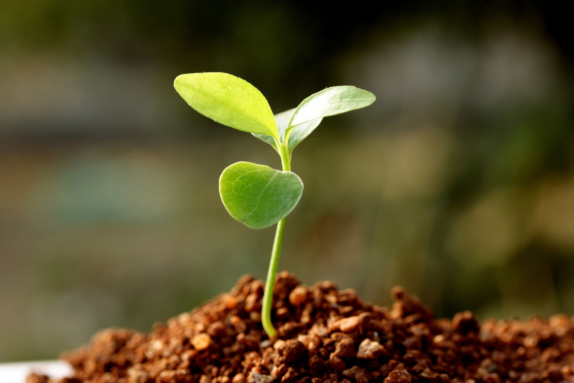 95新生命的到来总是让人期待,让人充满希望和憧憬.