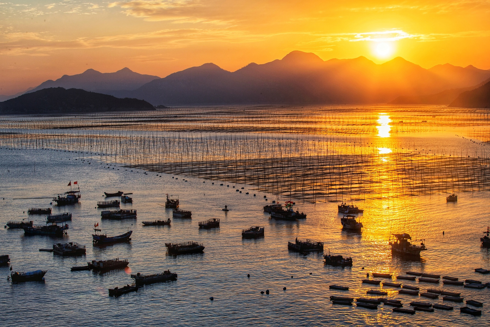 霞浦下尾,这个坐落于中国东南沿海的小渔村,以其优美的海滩和迷人的