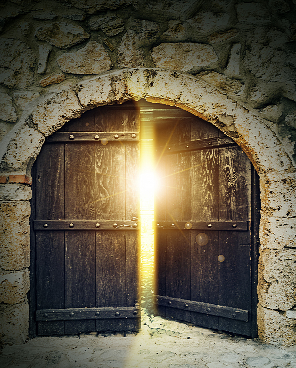 火鸡们终其一生,也不能入得了这扇门,最后成为农场