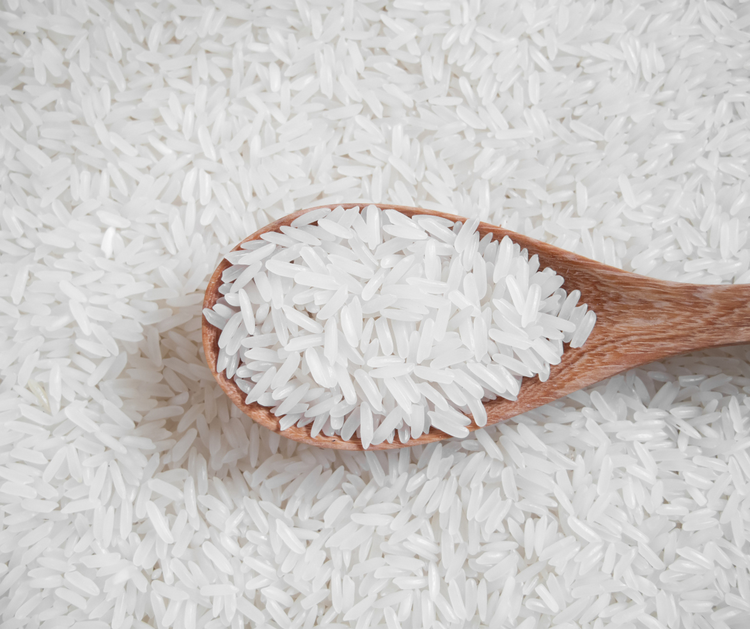 [原文:原生稻大米有哪些品种]