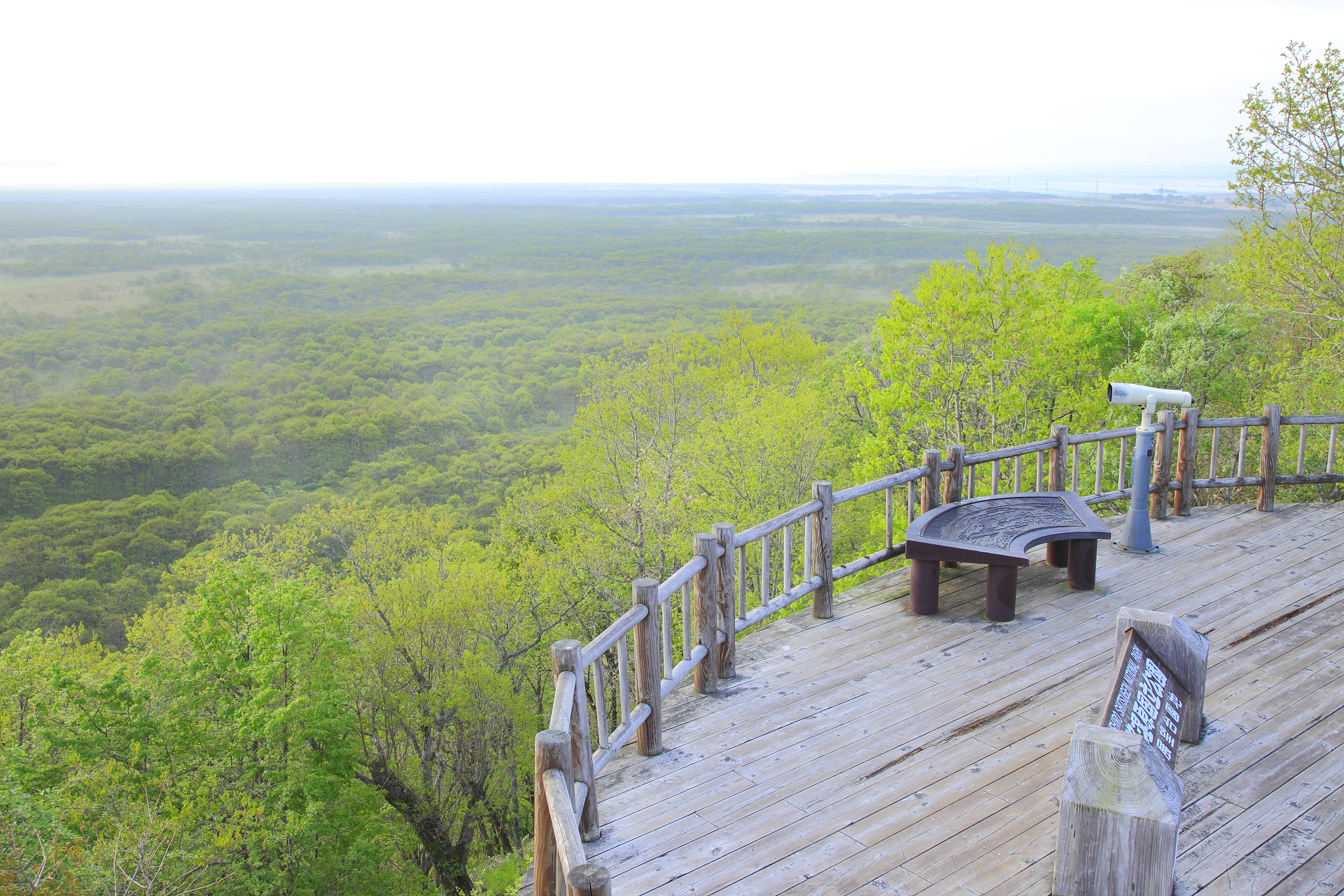 山东的日照海滨国家森林公园,森林里的夏日是否凉爽宜人?