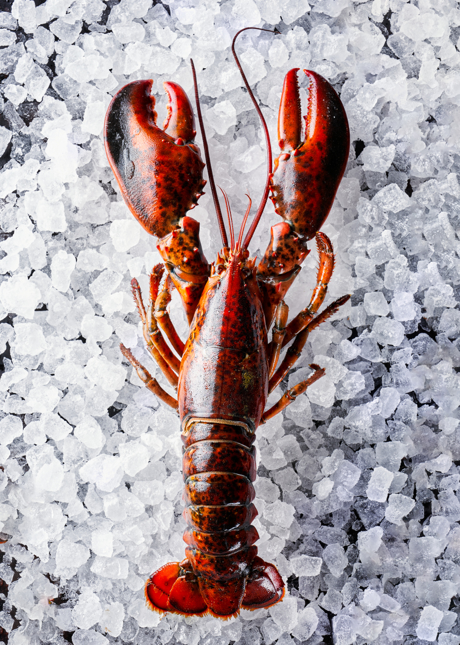 听说有女生闻到小龙虾气味就过敏到全身发红,这简直比吃辣椒还刺激啊!