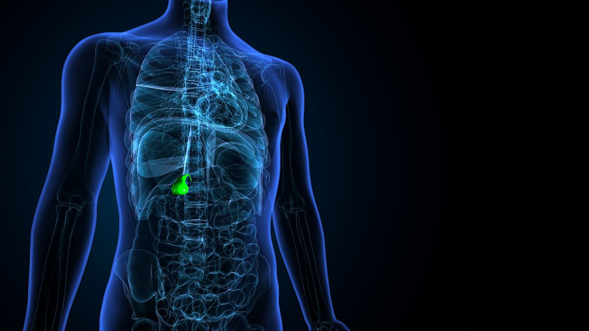 胆囊:人体的重要消化器官