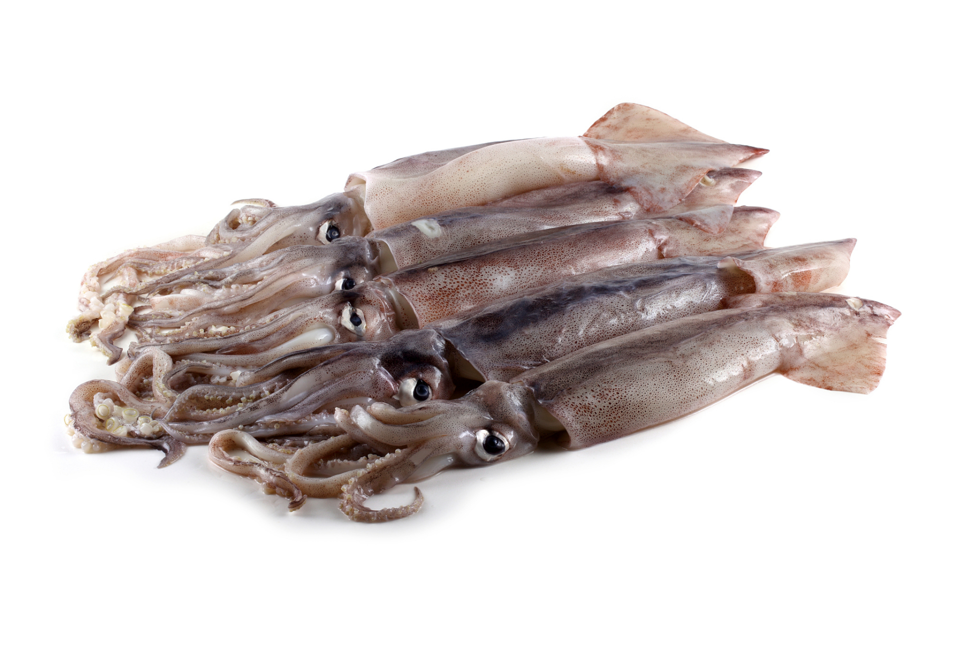 然后,就是炒的时候要用大火快炒,这样能保持鱿鱼的鲜嫩口感.