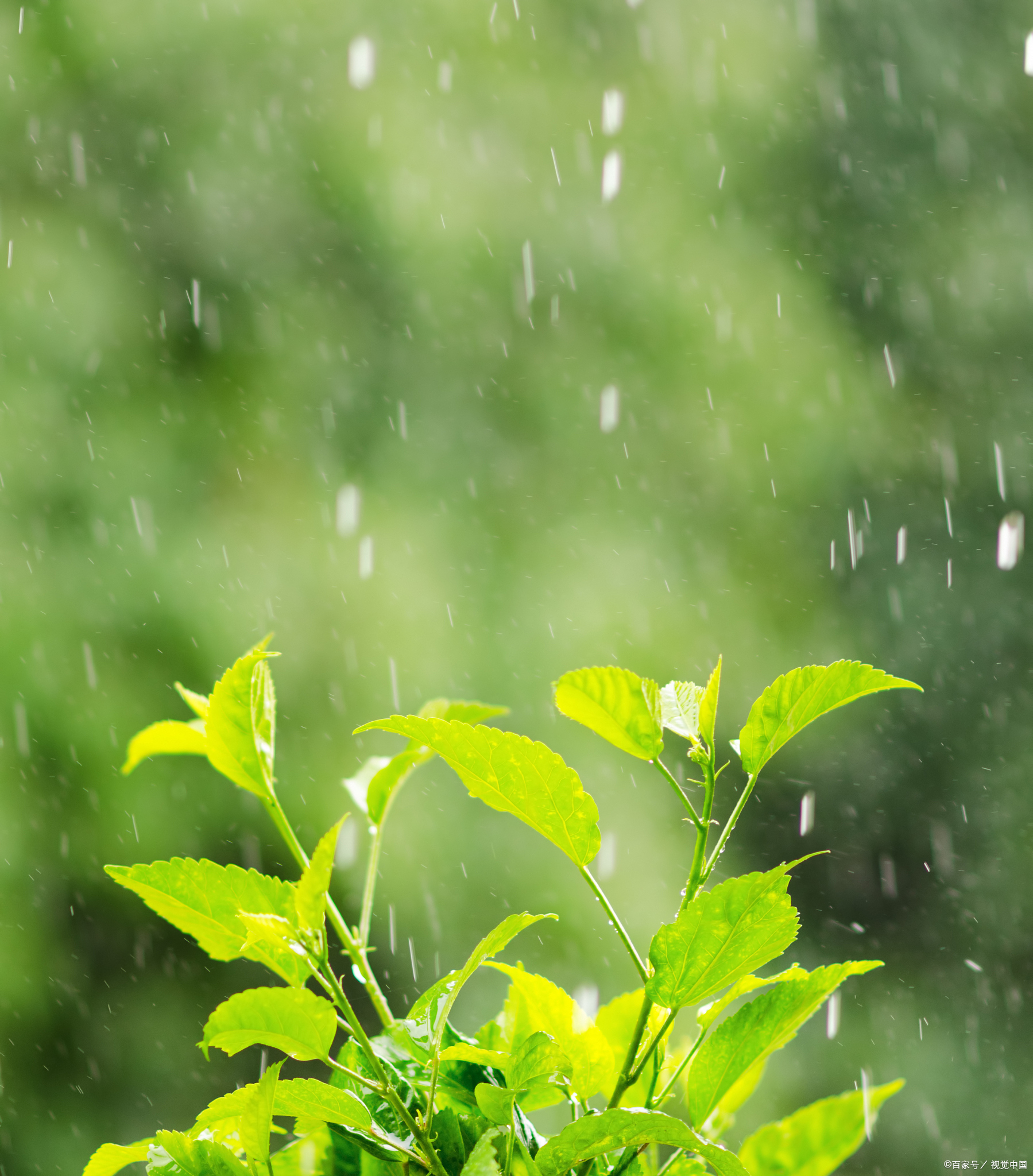 有些人能感受雨,而其他人则只是被淋湿