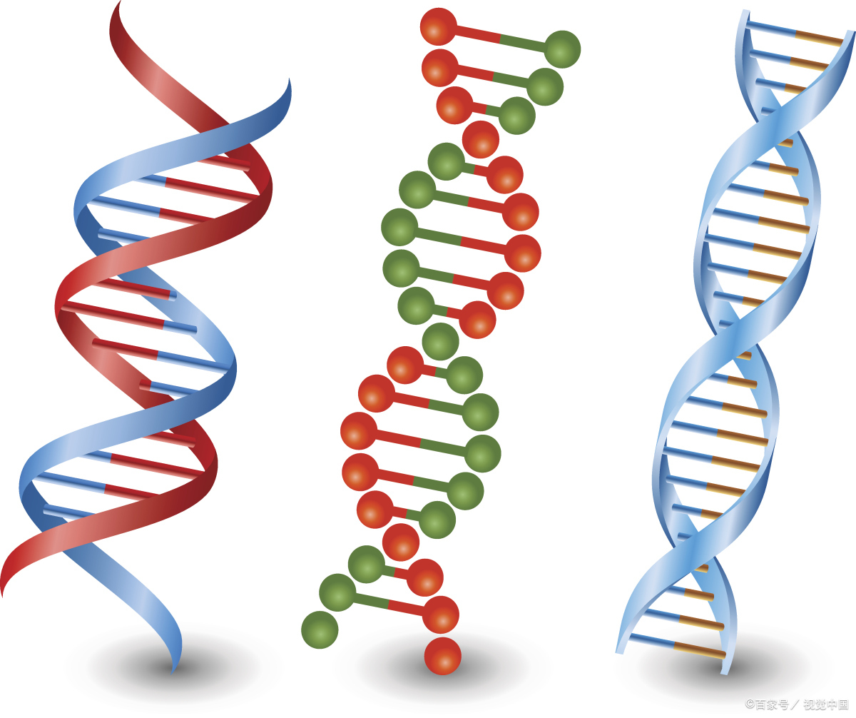 nga遗传基因200图片合集图片