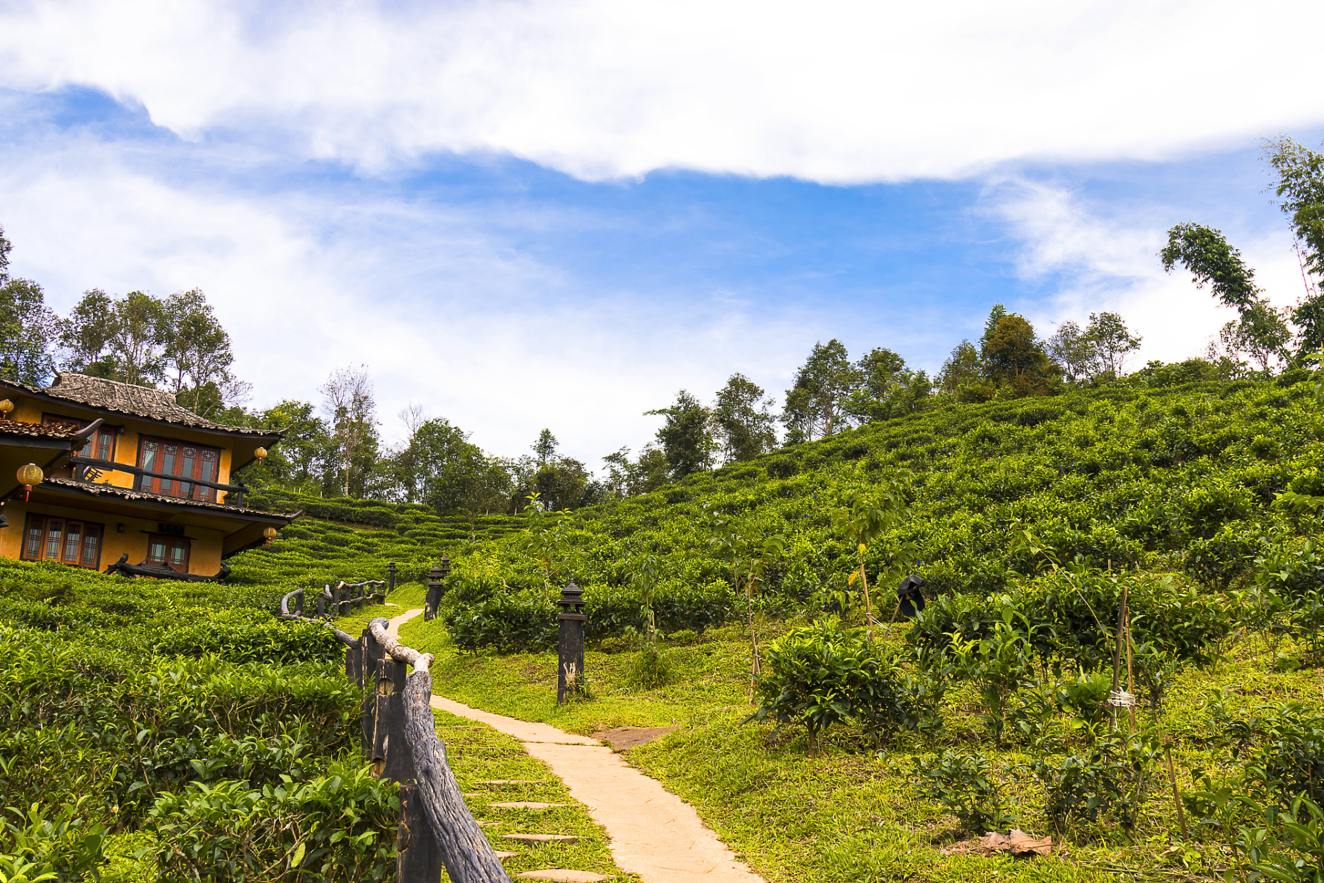 九月动态激励计划# 中国"普洱景迈山古茶林文化景观"申遗项目17日在