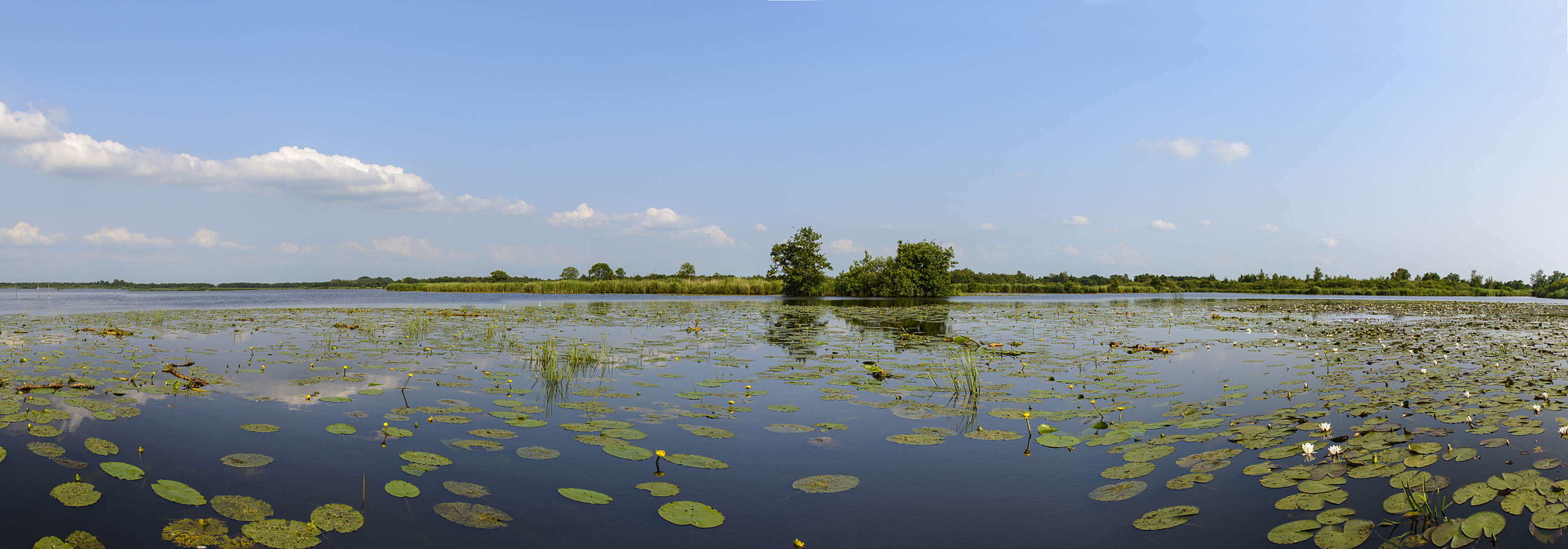 衡水湖是河北的4a级景区,也是国家级自然保护区,是华北平原第二大淡水