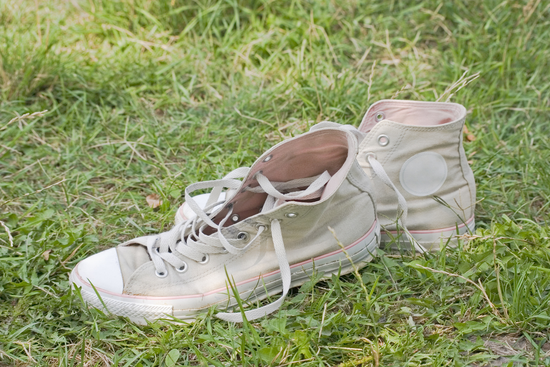 但愿受到警示和训诫的除了扔鞋的同伴,更应深层次思考