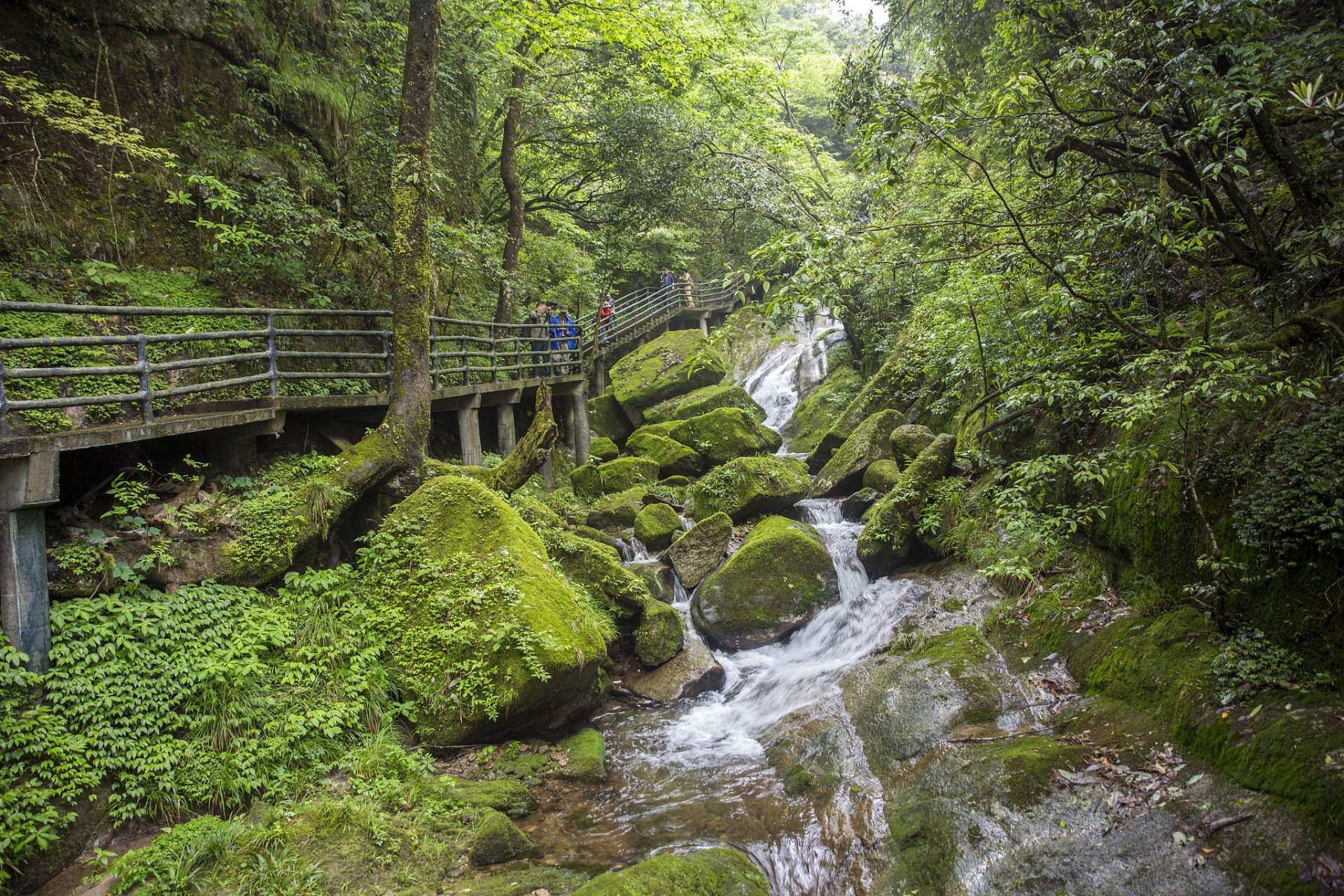 重庆避暑就去万盛·南天门  南天门位于万盛石林镇茶园村南峰山,有"
