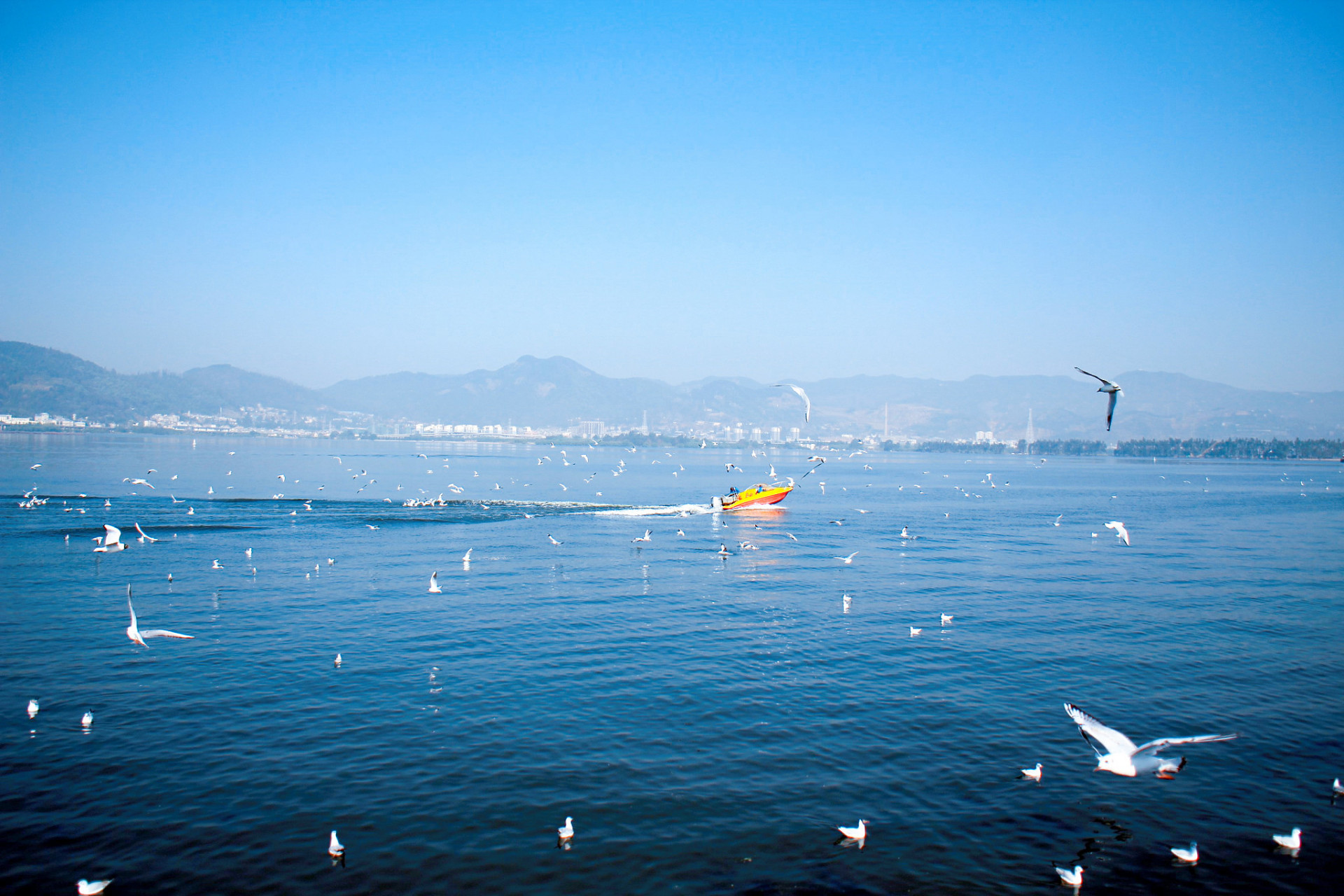 滇池 作者:张黑  滇池浩渺碧波深, 海埂倒影画中陈.