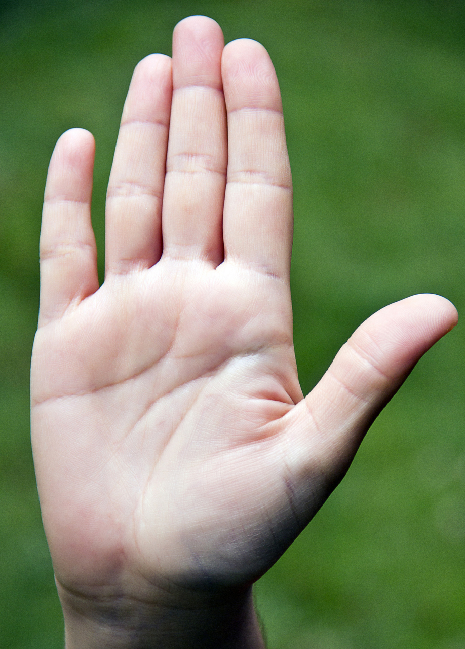 智慧线的长度,深浅和形状可以反映一个人的性格,能力和天赋.