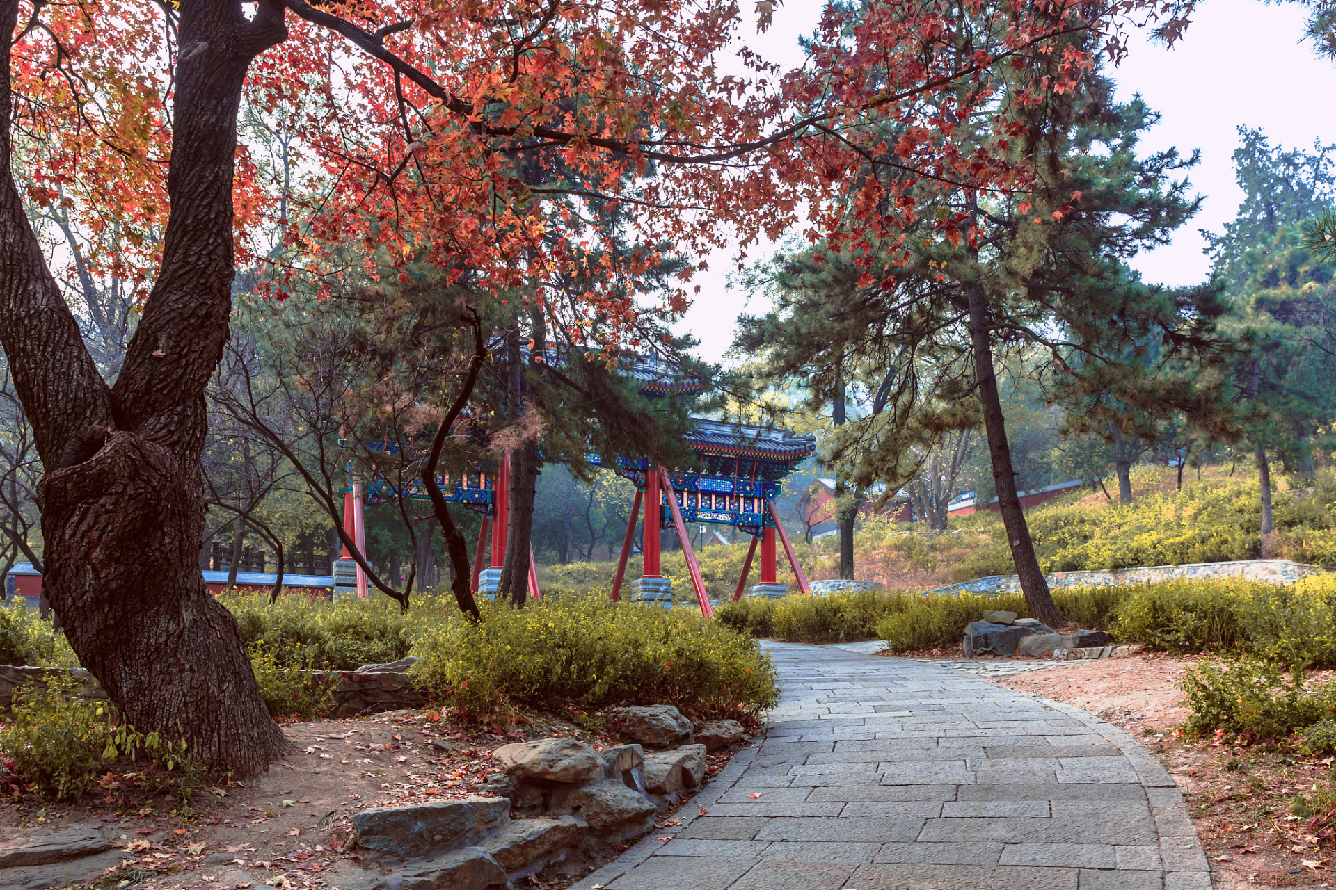 北京香山公园:位于北京市海淀区,是一个著名的皇家园林.