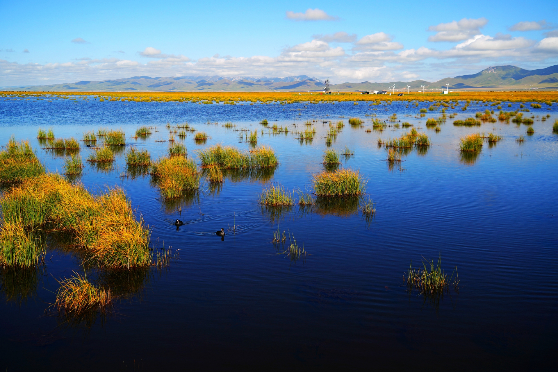 旅行中的治愈日常# 纳帕海自然保护区位于云南省迪庆藏族自治州的