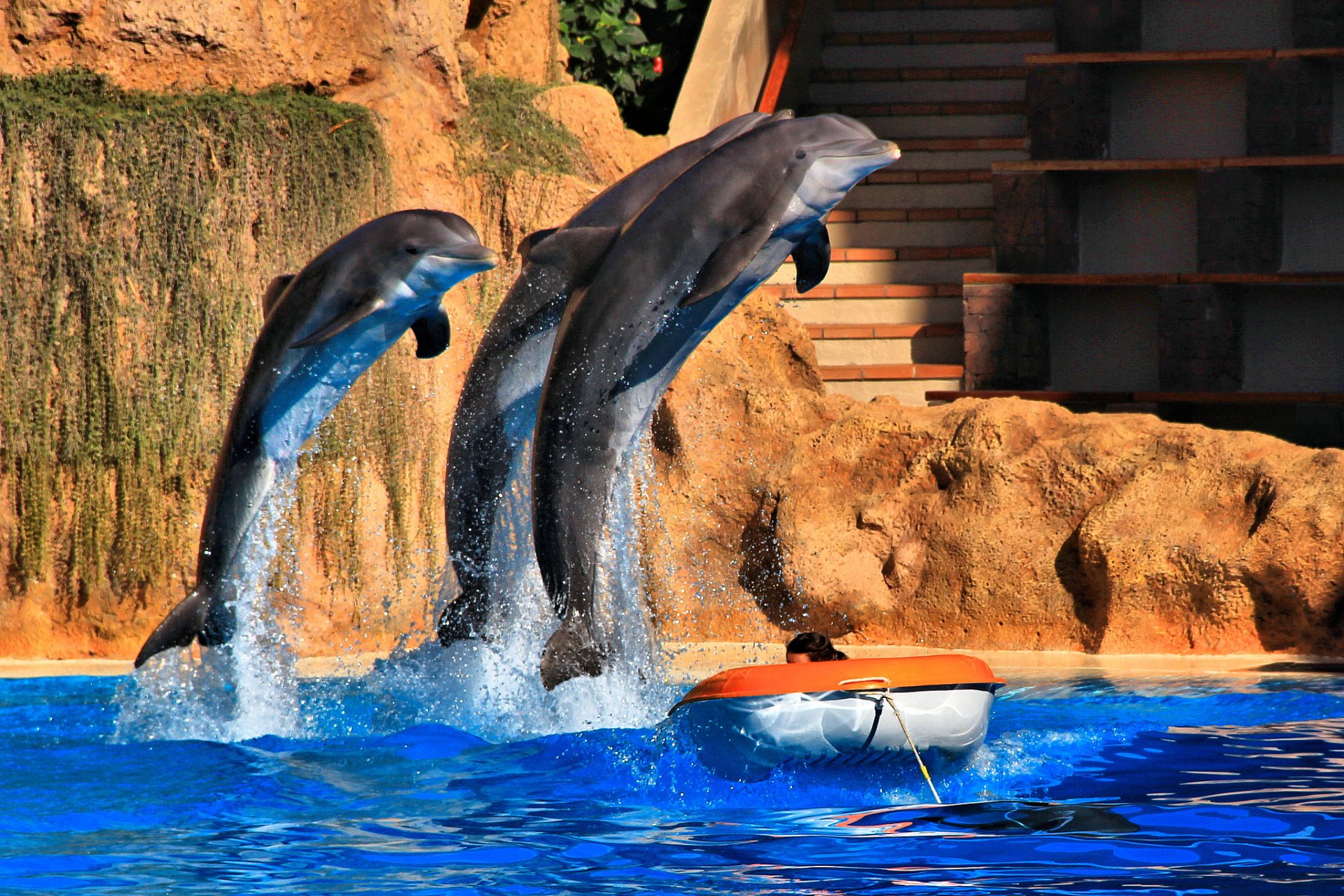 位于湘湖国家旅游度假区的杭州长乔极地海洋公园,作为一座魅力四溢的