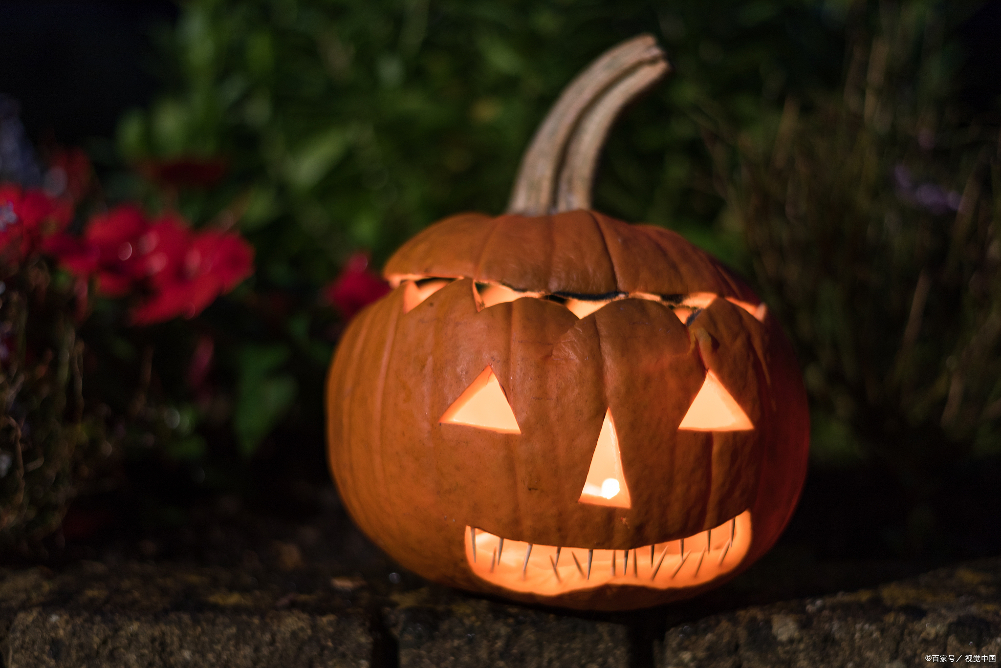 人们会将南瓜雕刻成各种恐怖的面孔,并在其中放置蜡烛,制成南瓜灯
