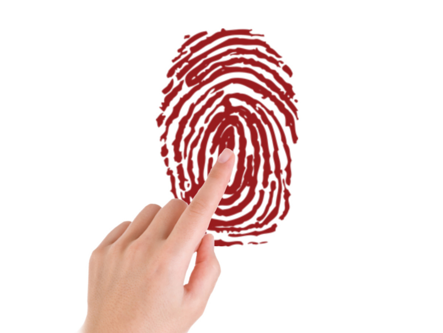 指纹是独特的生物特征,形成于胚胎期间,不受年龄,性别,种族等因素影响