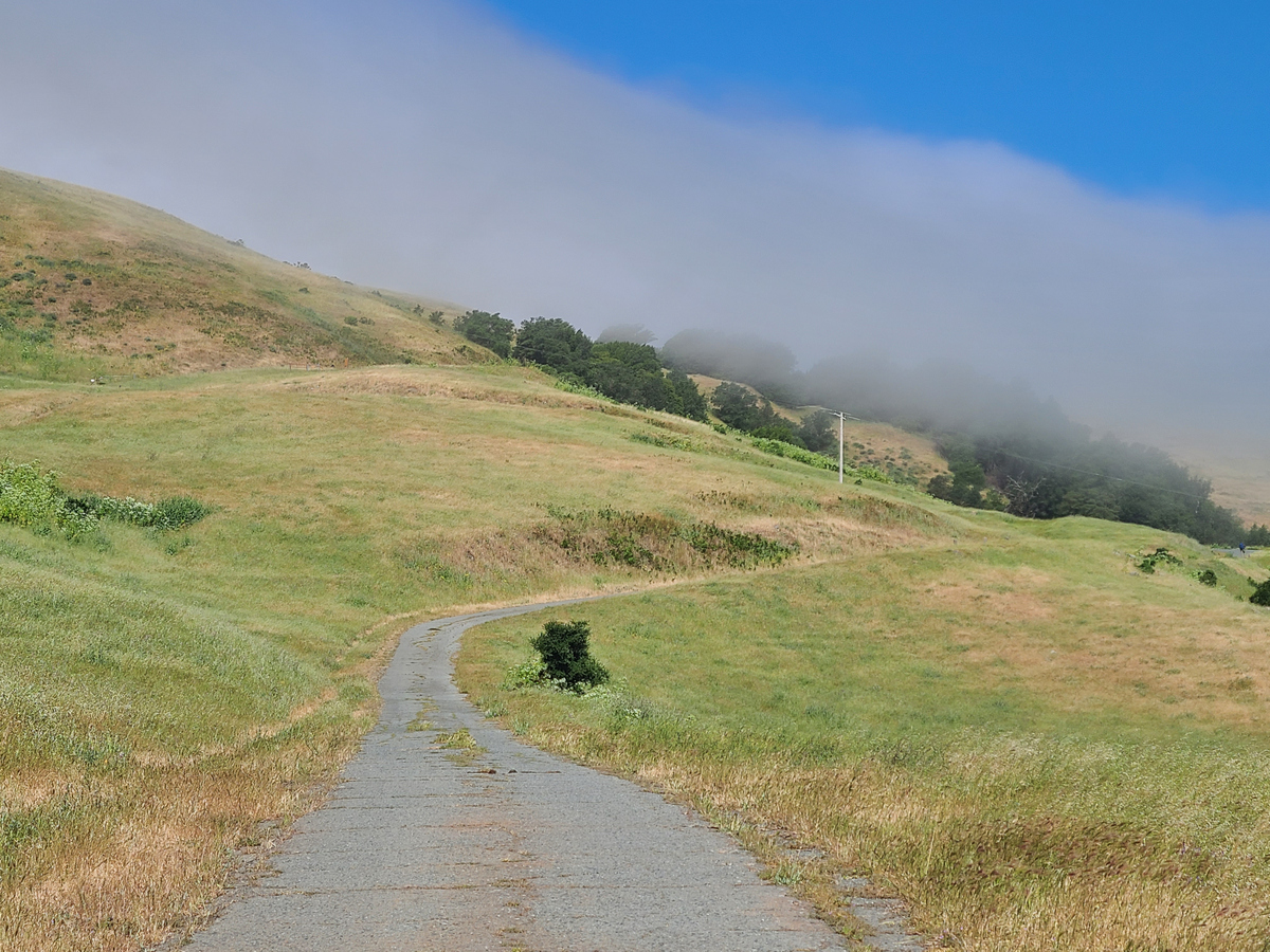 每逢佳节倍思亲却不知思念谁在八几年父母离婚
