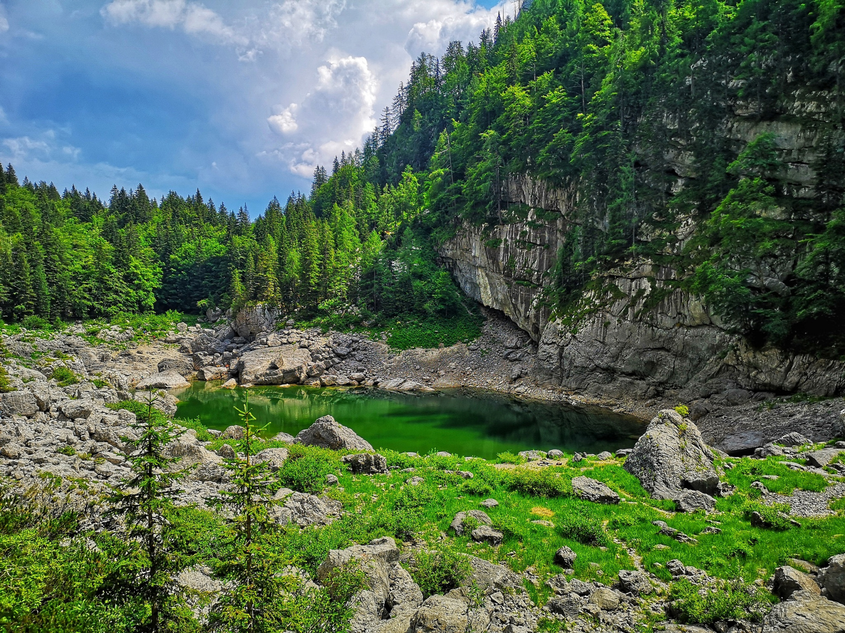 通天河国家森林公园,一个藏着世间奇景与历史故事的地方,位于陕西省