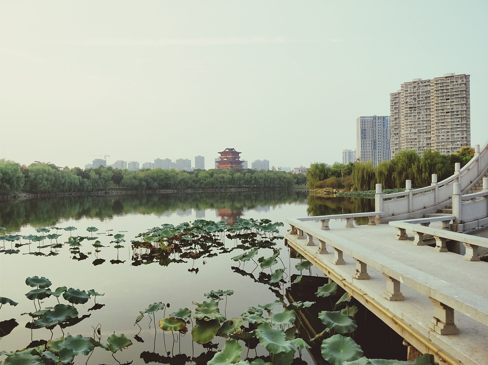余干县康山大堤内的大明湖,这里即将迎来一场盛大的旅游盛宴!