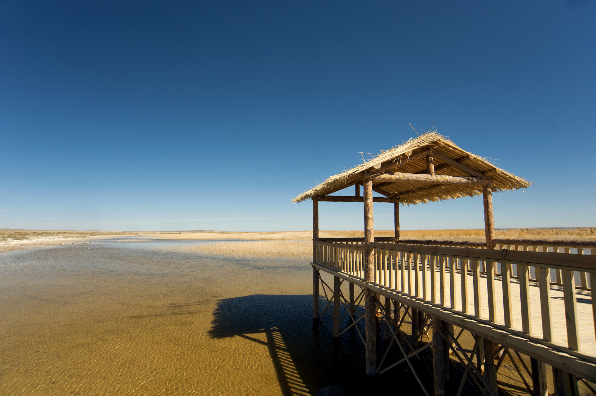 在中卫市沙坡头区的腾格里沙漠湿地金沙岛旅游区,是一个让人流连忘返
