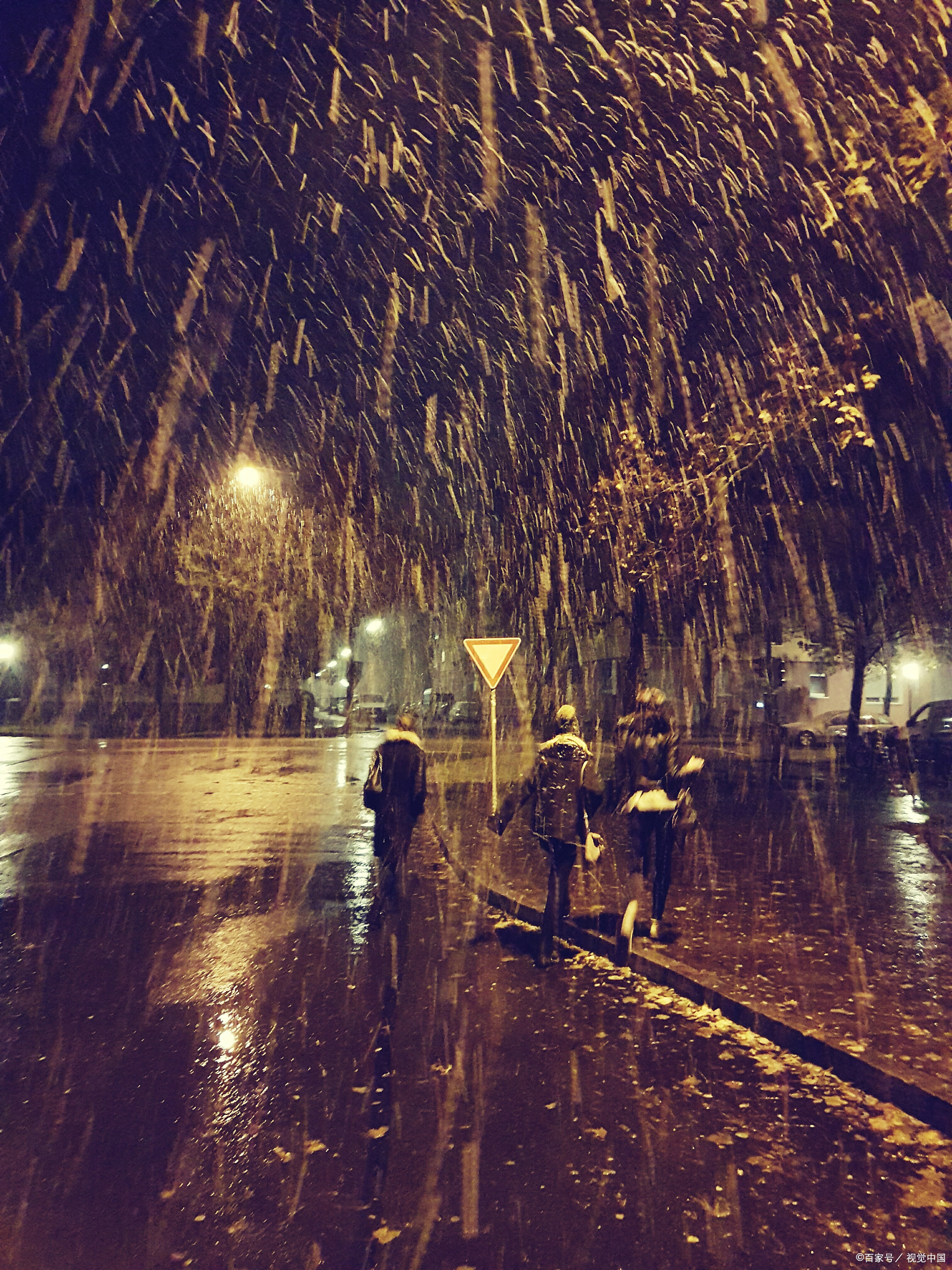 一场夜雨淋湿了秋夜