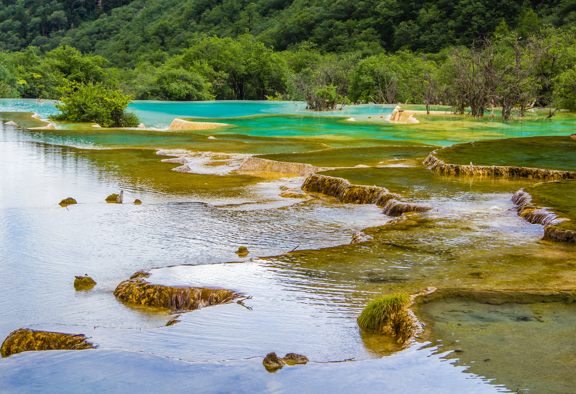 如果没有,那么我为你推荐一个绝佳的去处——黄龙风景名胜区.