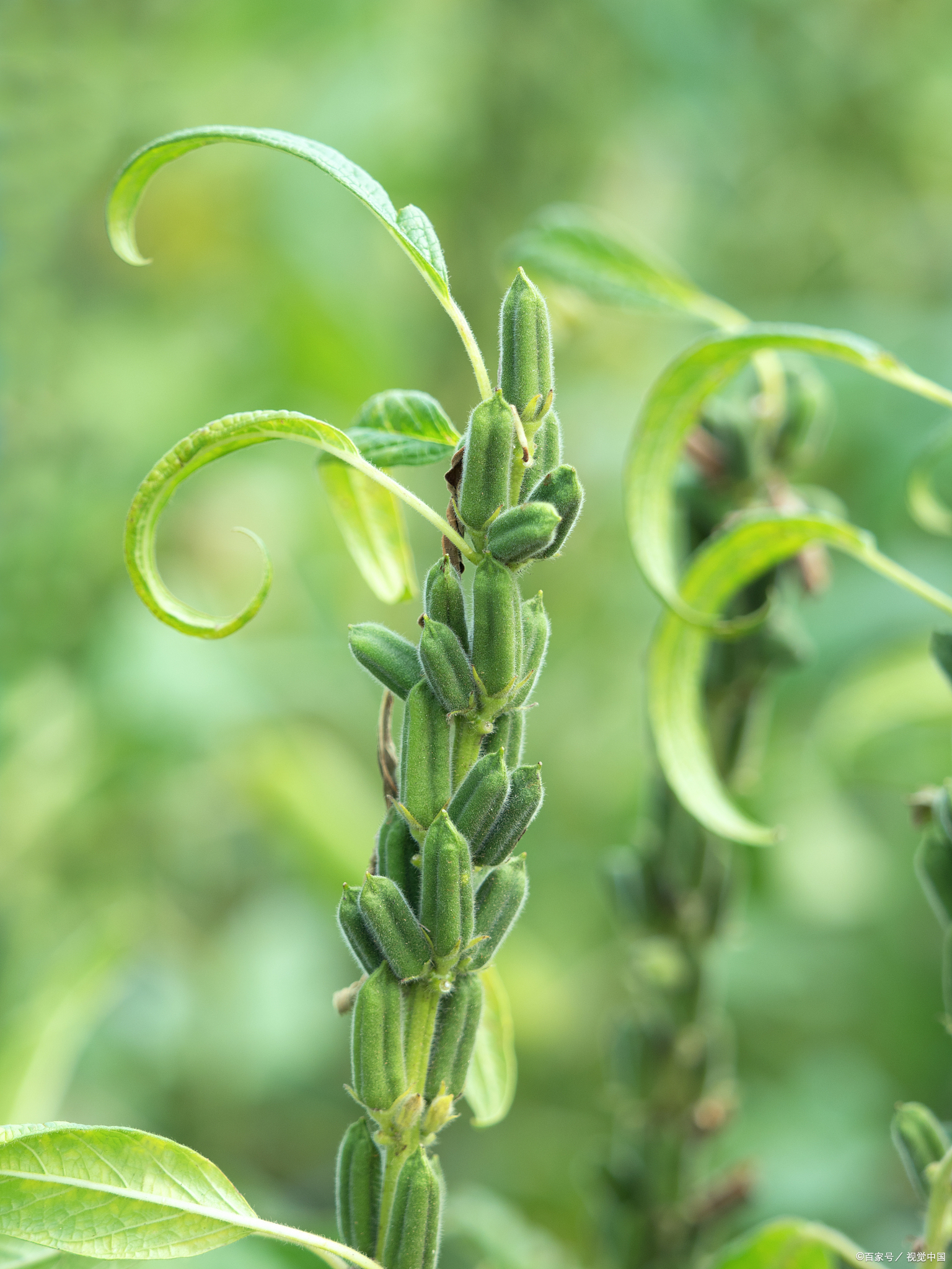 冬天最该多吃的食物