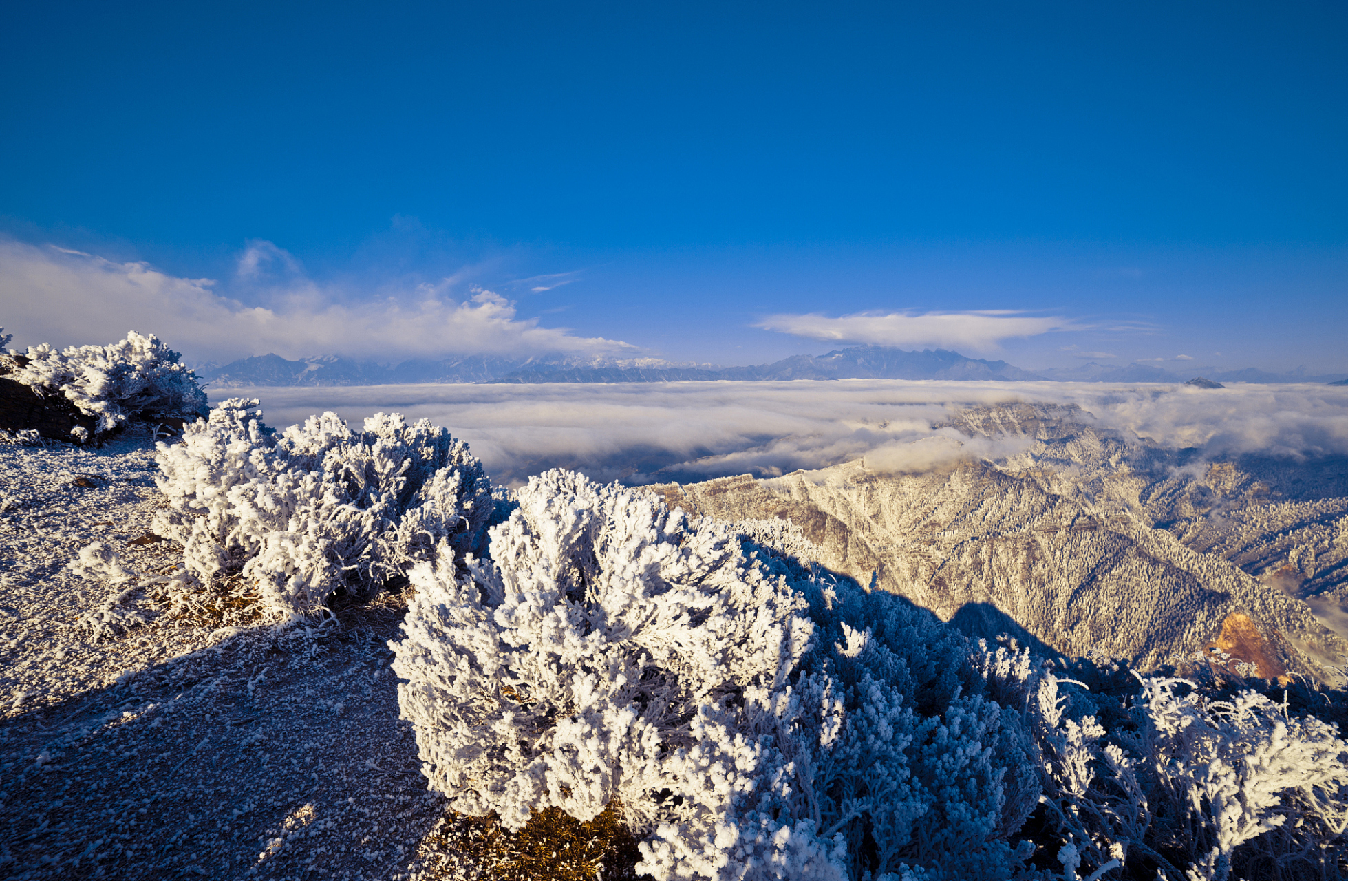 西岭雪山风景名胜区的魅力不仅在于高耸入云的大雪山,还有其多变的