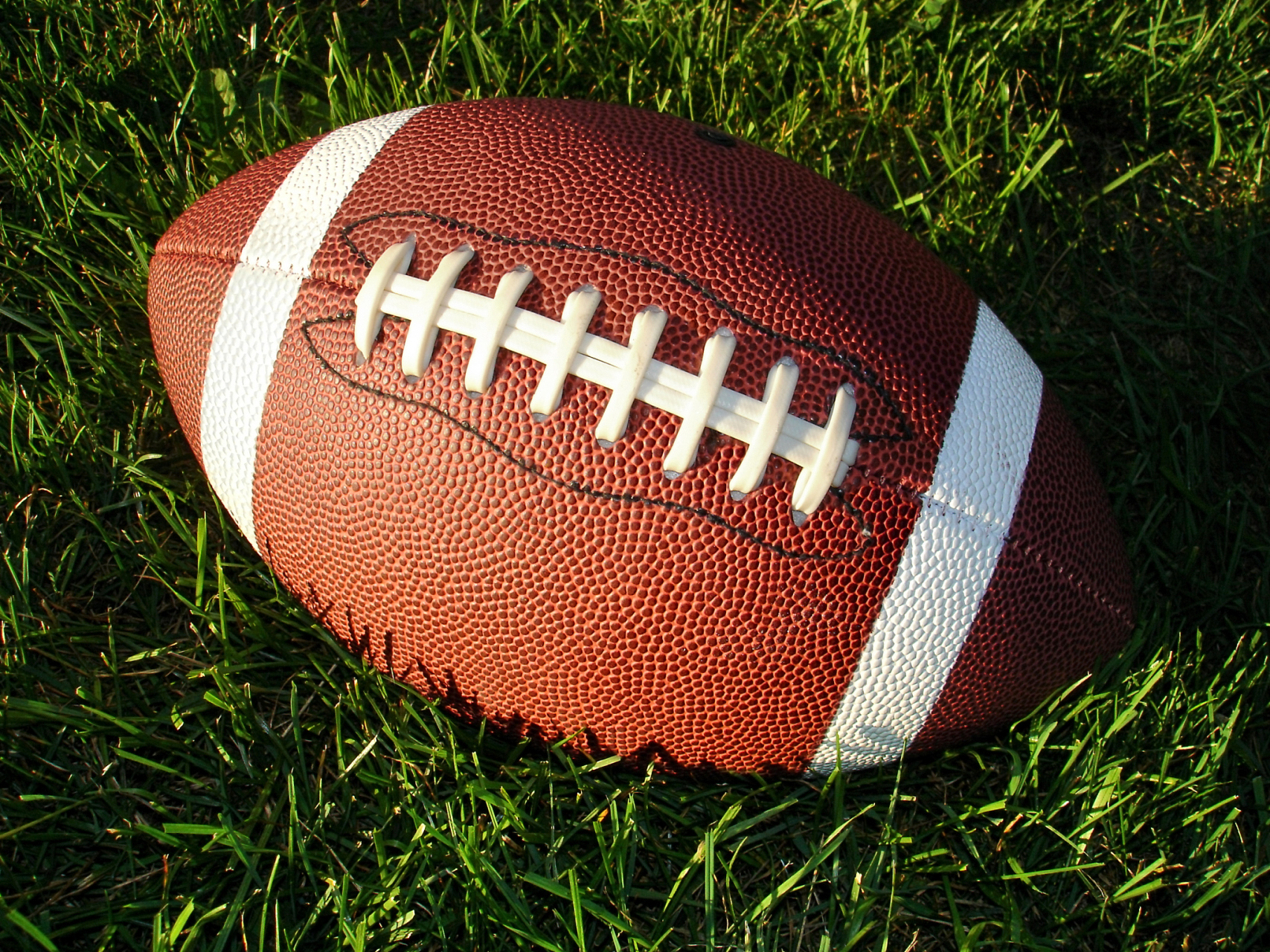 也就是说,在橄榄型社会结构里,只要你努力一点点,就会超越很多人.