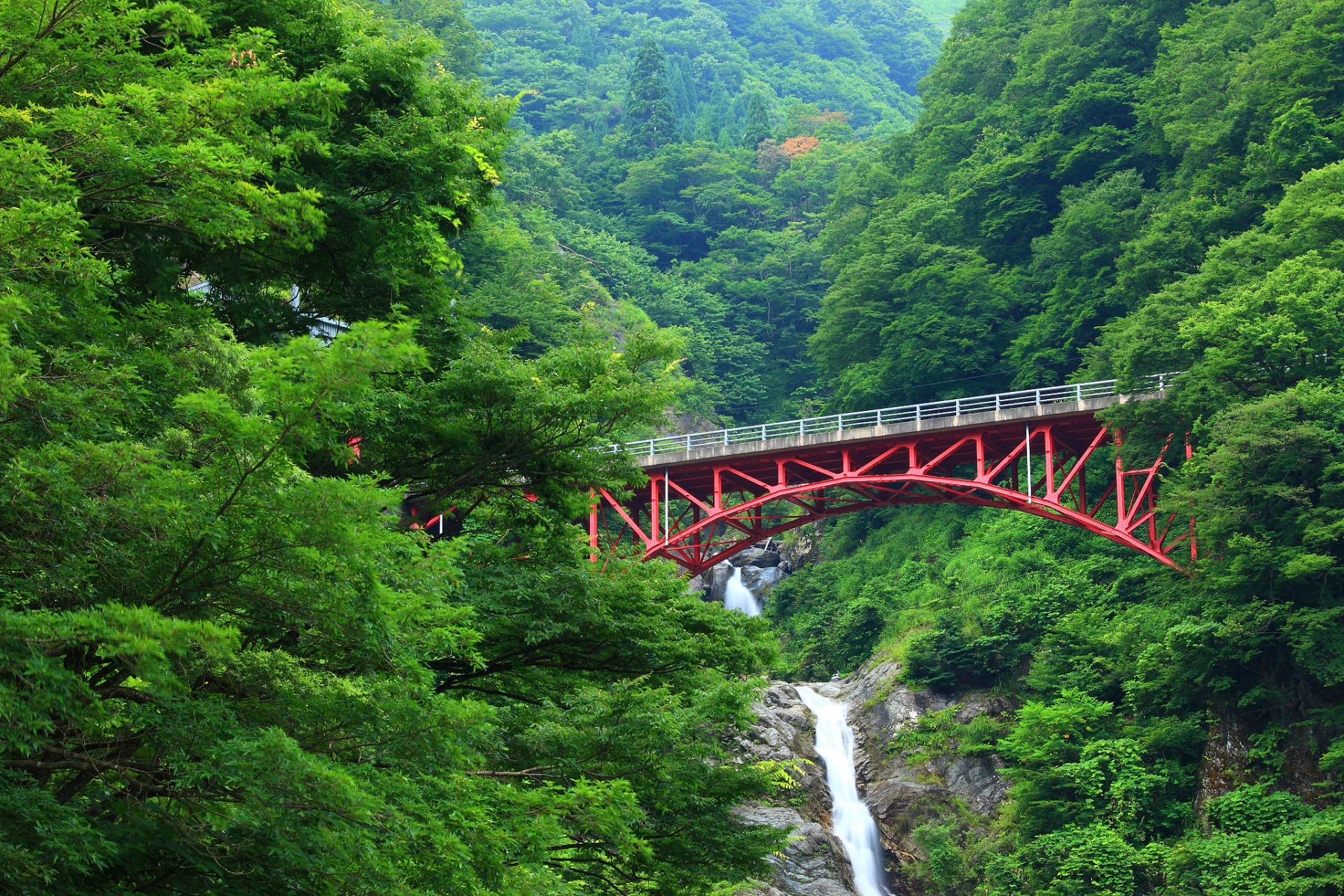 屏边大围山旅游开发图片