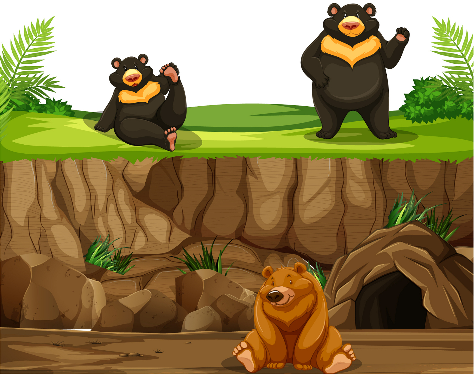 黑熊代表他的表哥棕熊去了魔幻森林.