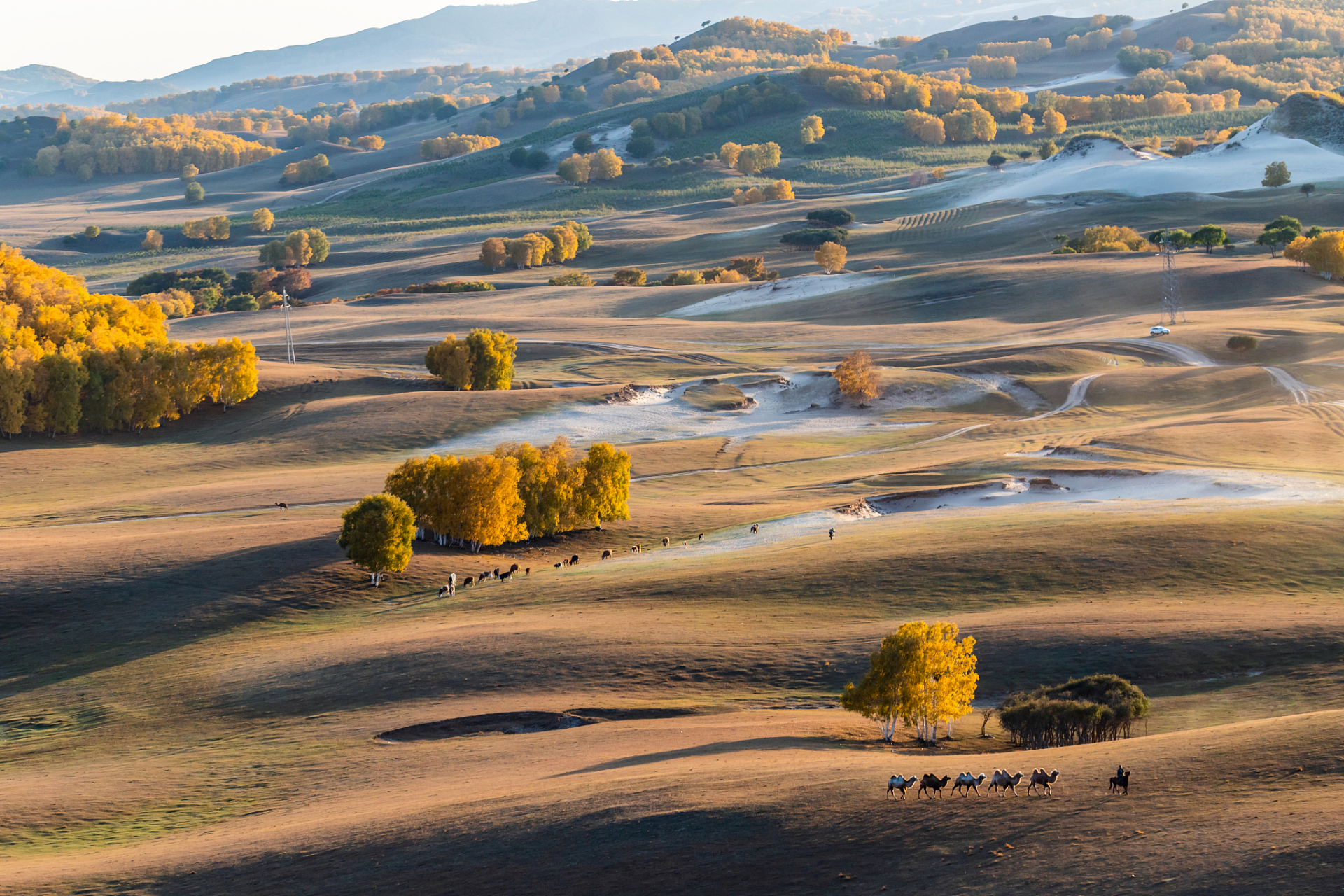 统草原位于内蒙古高原,是摄影爱好者的梦幻天堂,夏秋两季风景各具特色