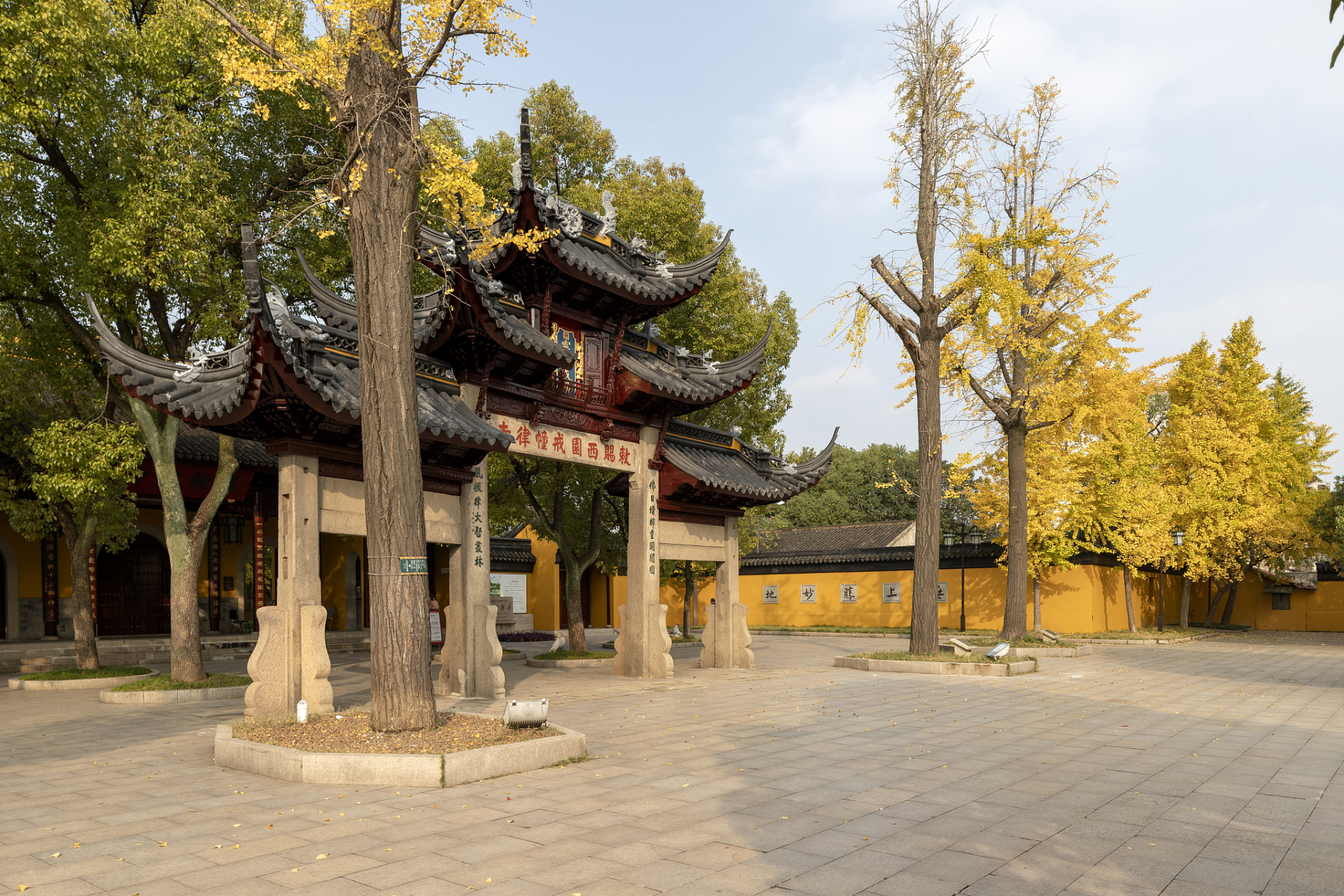 炎炎夏日,正是南京金粟庵的好时光!