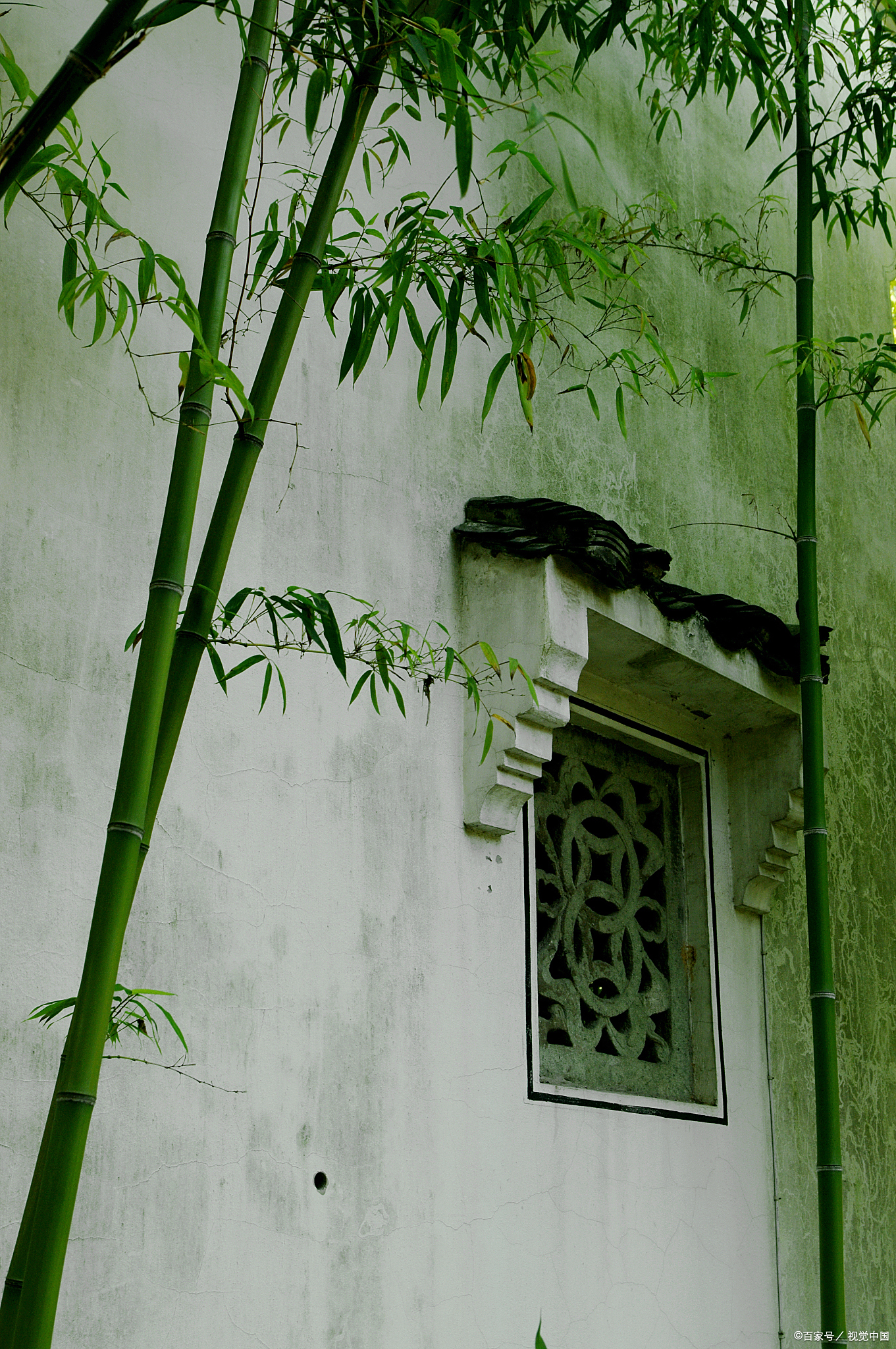 聊斋故事:《莲花公主》