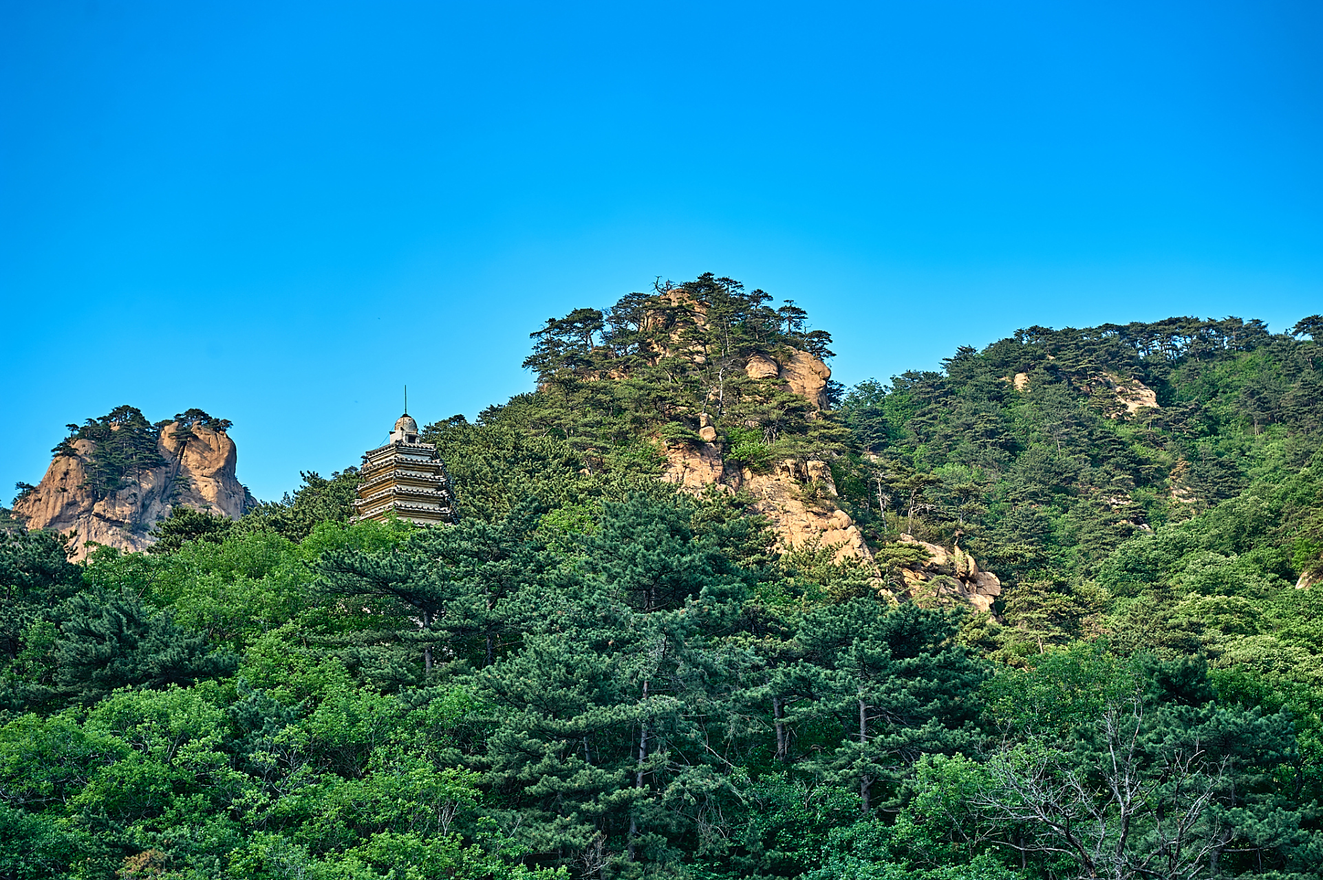金秋图文动态创作节# 秋天到鞍山旅游必去的一个景点是千山.