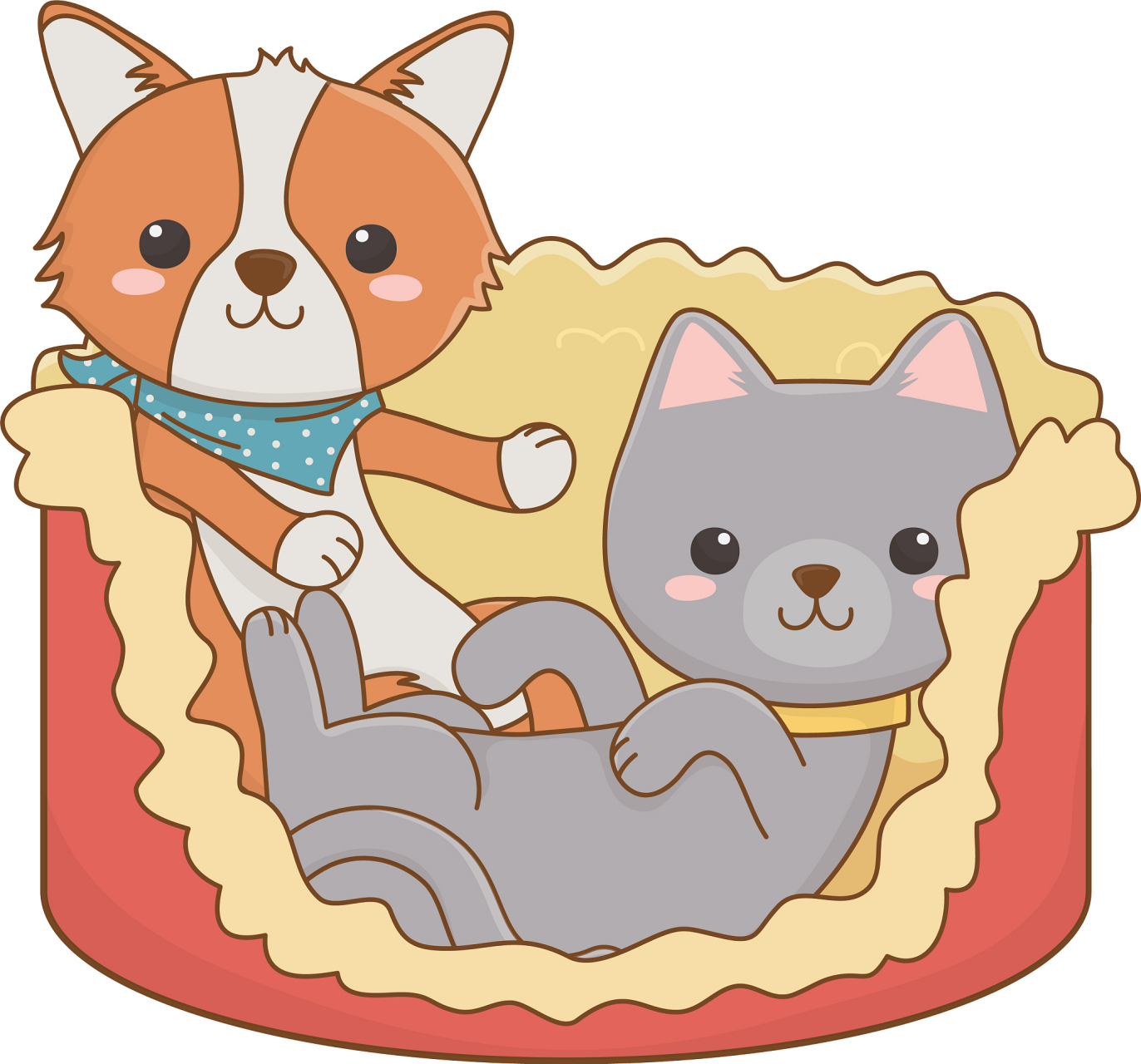 过节期间我家的小猫得了肠胃炎,一直拉屎,导致我这个铲屎官忙个不停