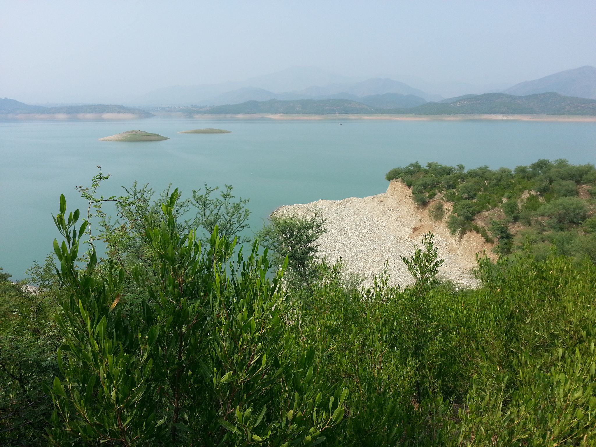 湖上畅游,夜晚的芹山水库是星空下的浪漫之地