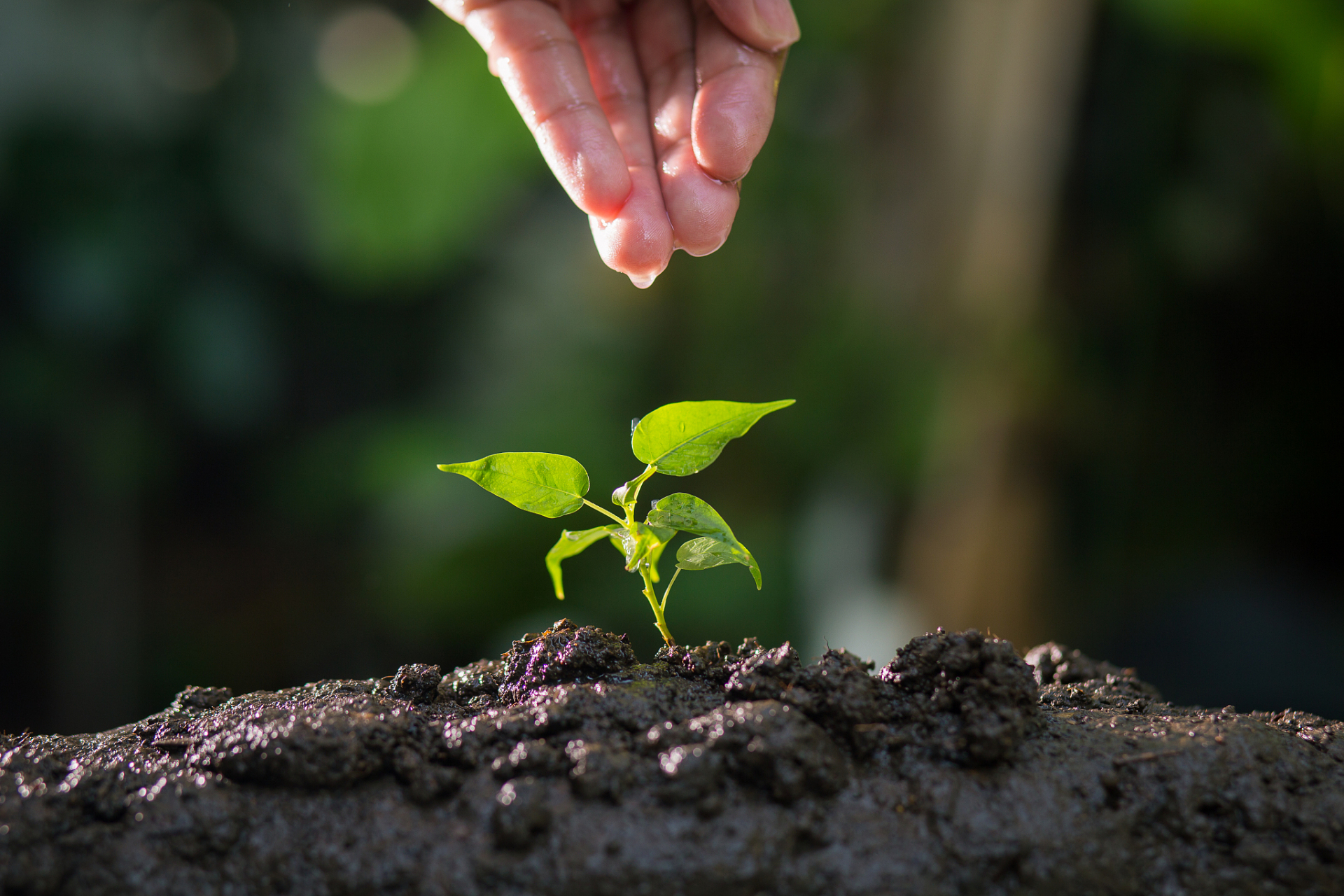 如果你没有意识到人终将死去,就不能体会活着的滋味.