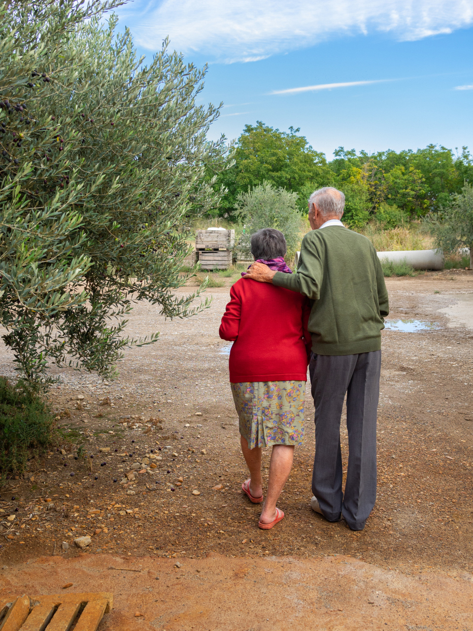 搀扶到老的夫妇展现深厚情感纽带和相互支持,经历岁月洗礼更显爱情