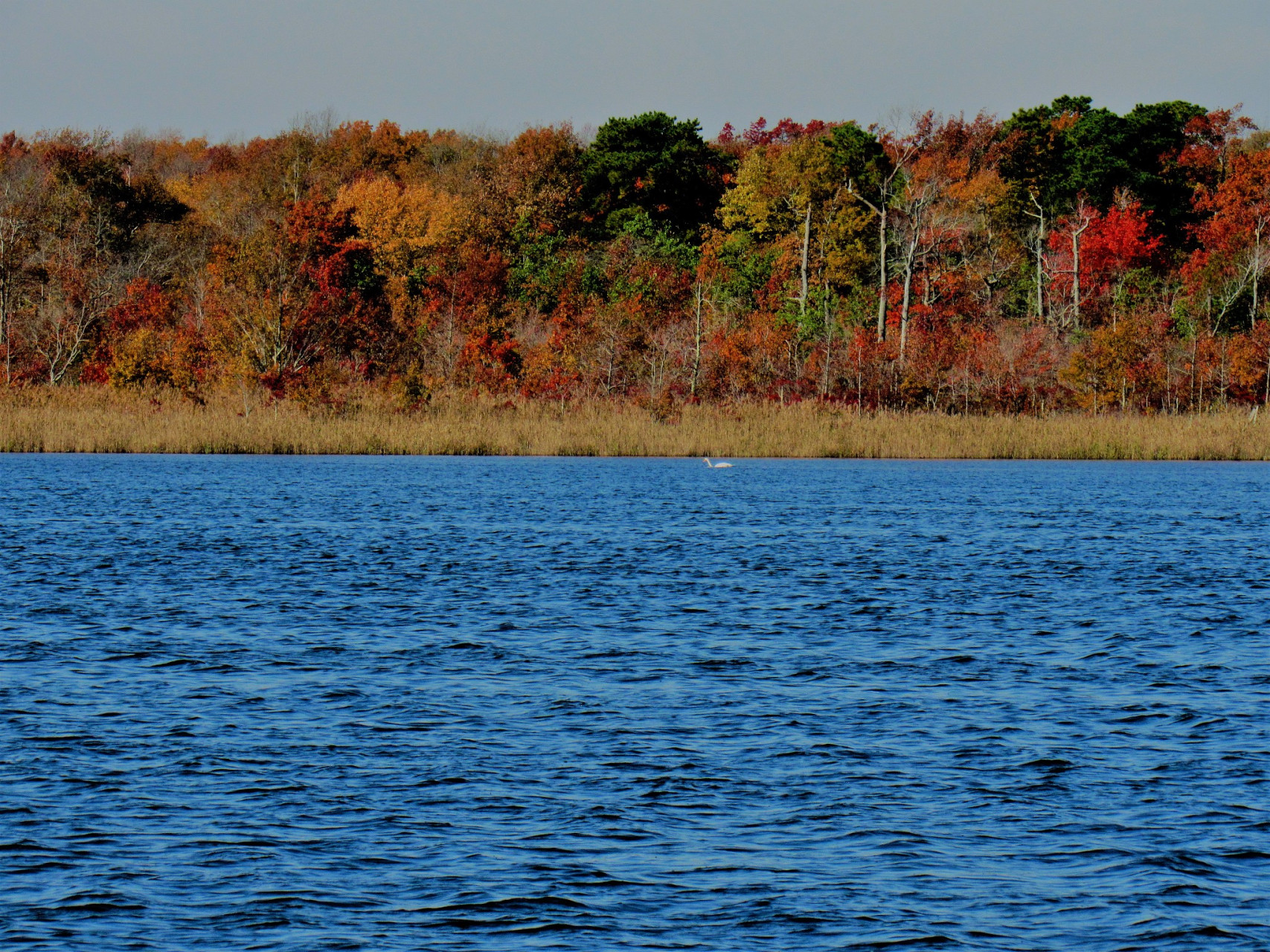 保定十大免费景区-西大洋水库  西大洋水库位于河北省保定市唐县境内