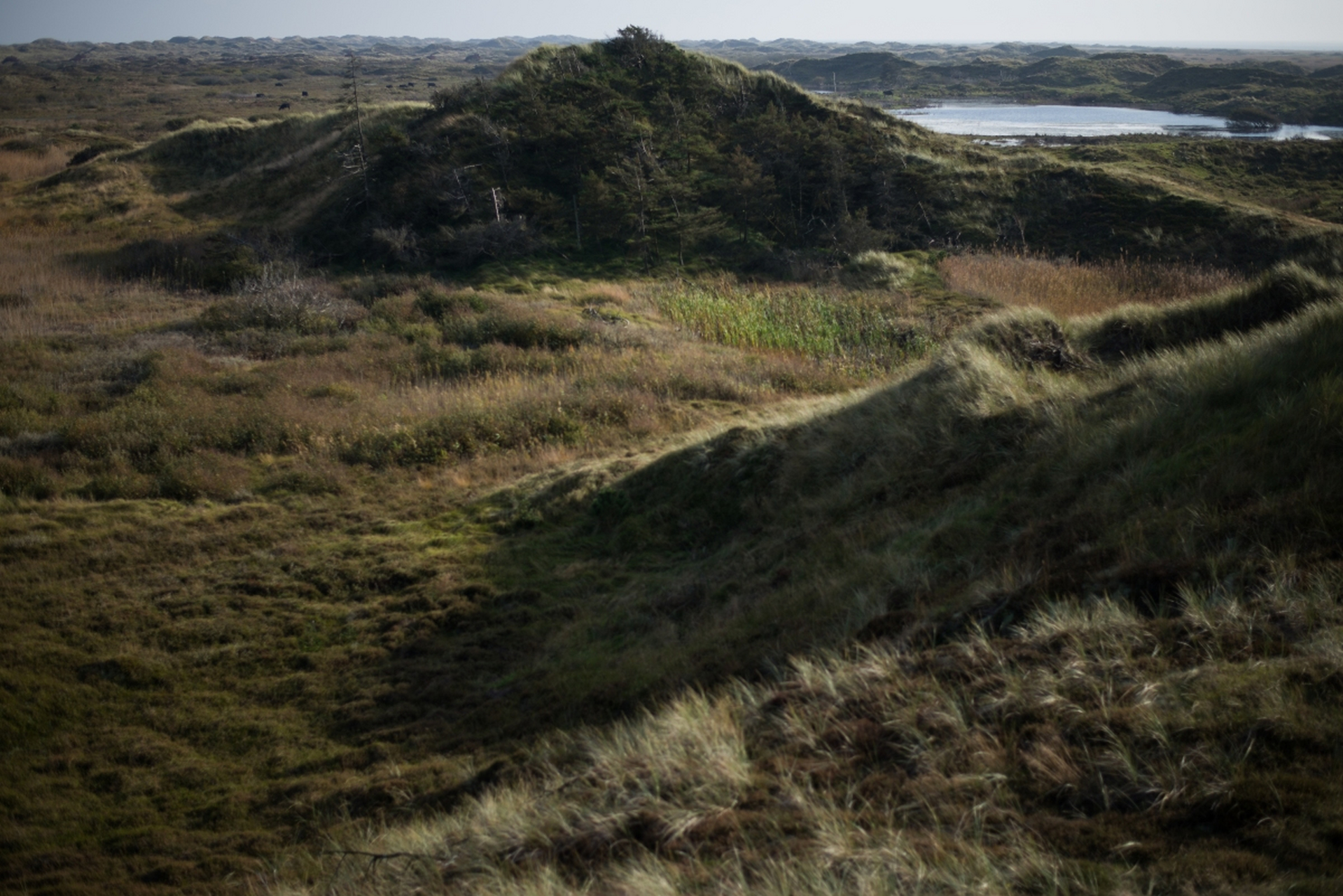 没想到在荒山野岭中,居然能遇到女生在河边洗澡,而且还是六个女生,个
