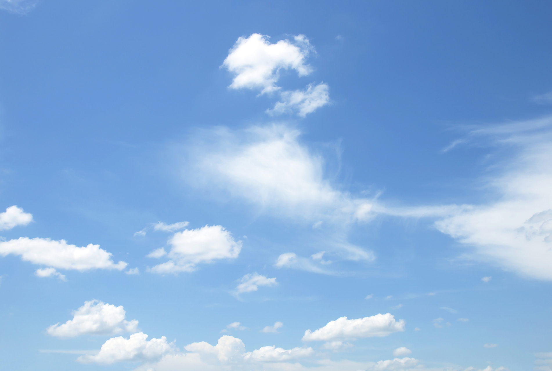 王翠花是一个温和的农村妇女,与二嫂李琴性格截然不